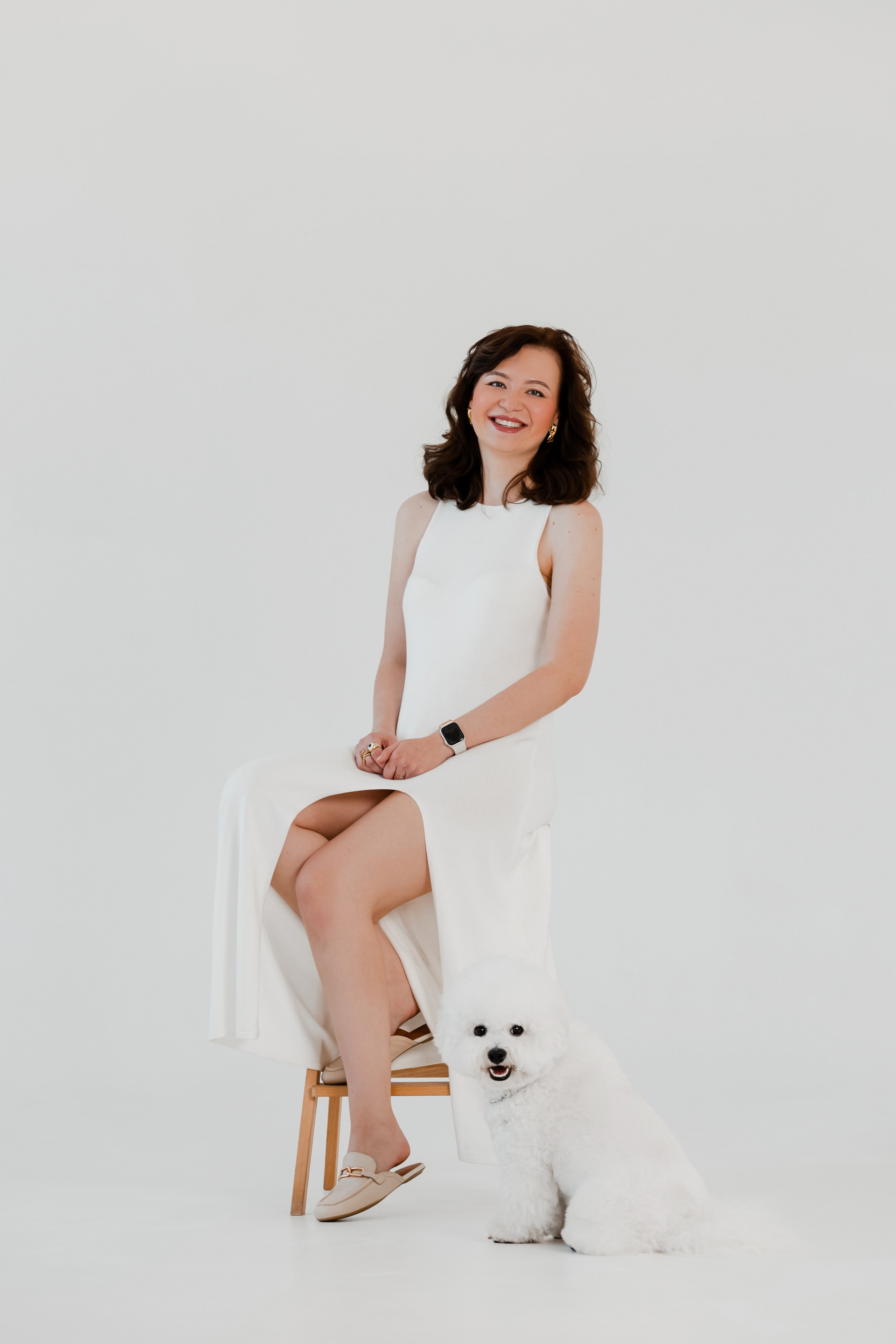 Бишон-фризе. Фотограф-анималист в Краснодаре Маша Мельникова