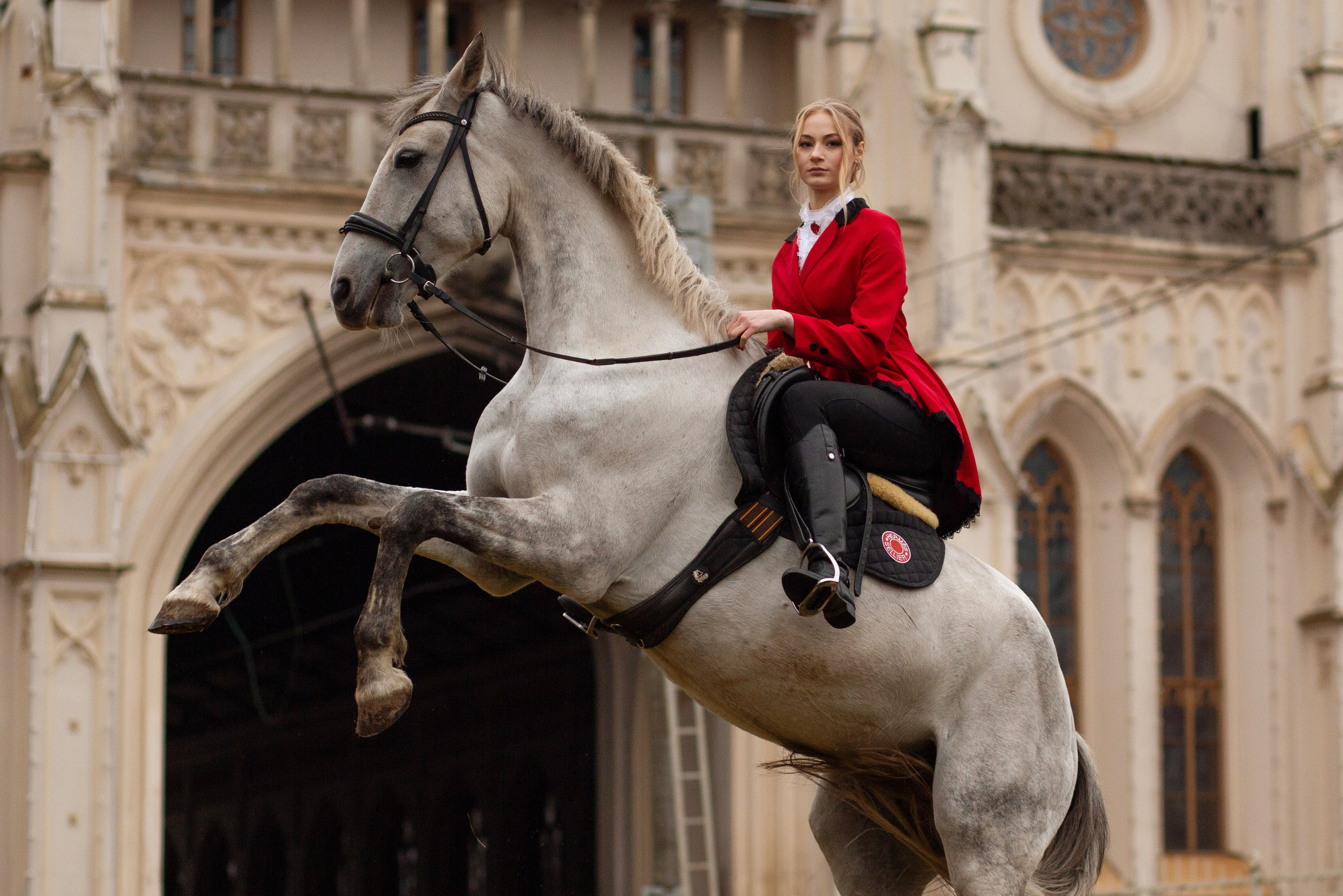 Настя и орловский рысак Павел