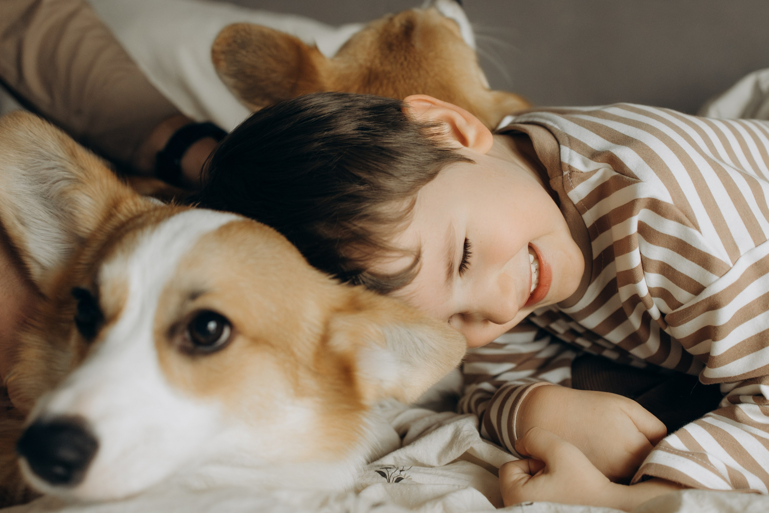 Домашняя история. Семейный фотограф Москва Юлиана Фетисова