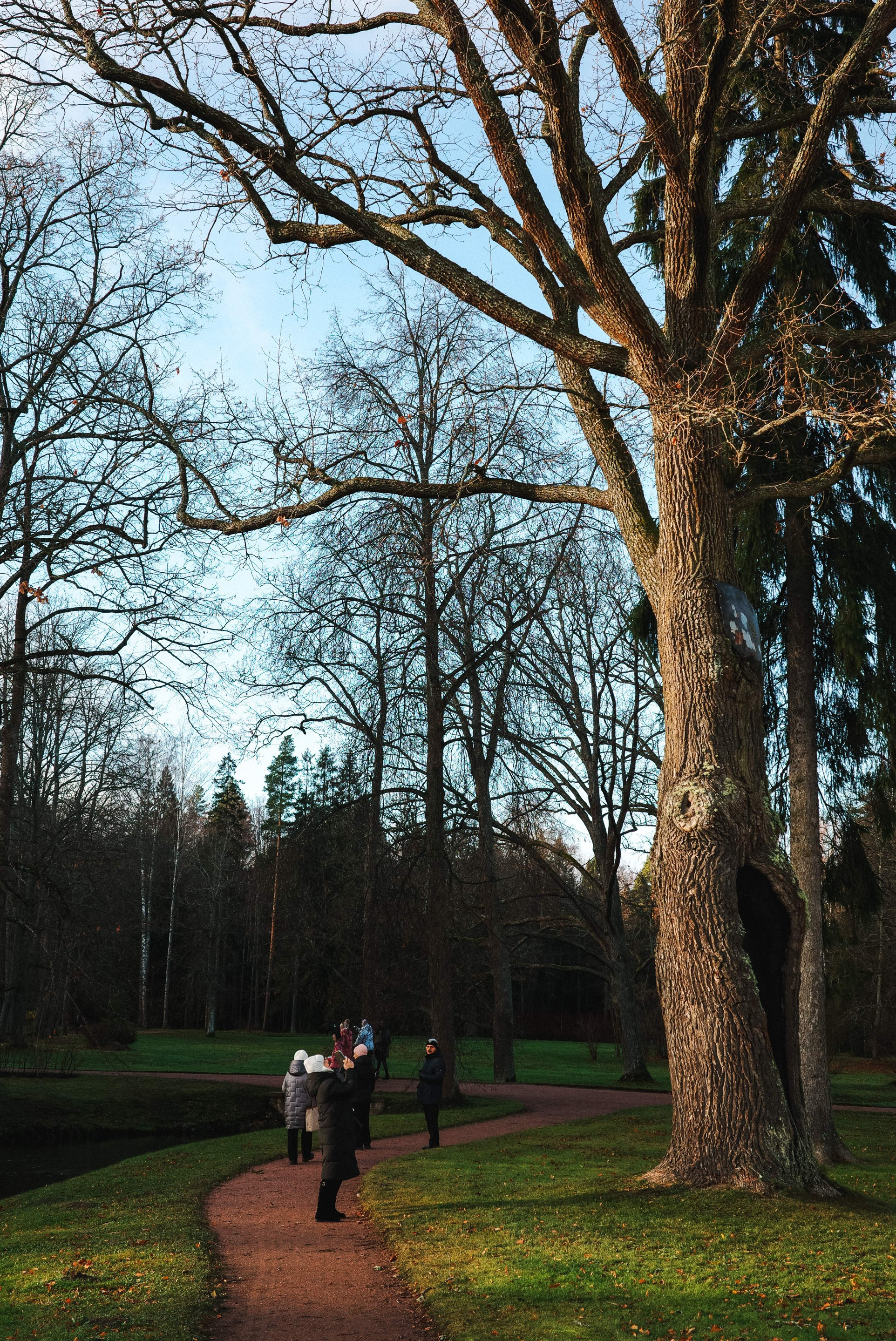 2024.11. Фотограф Алексей Алексеев