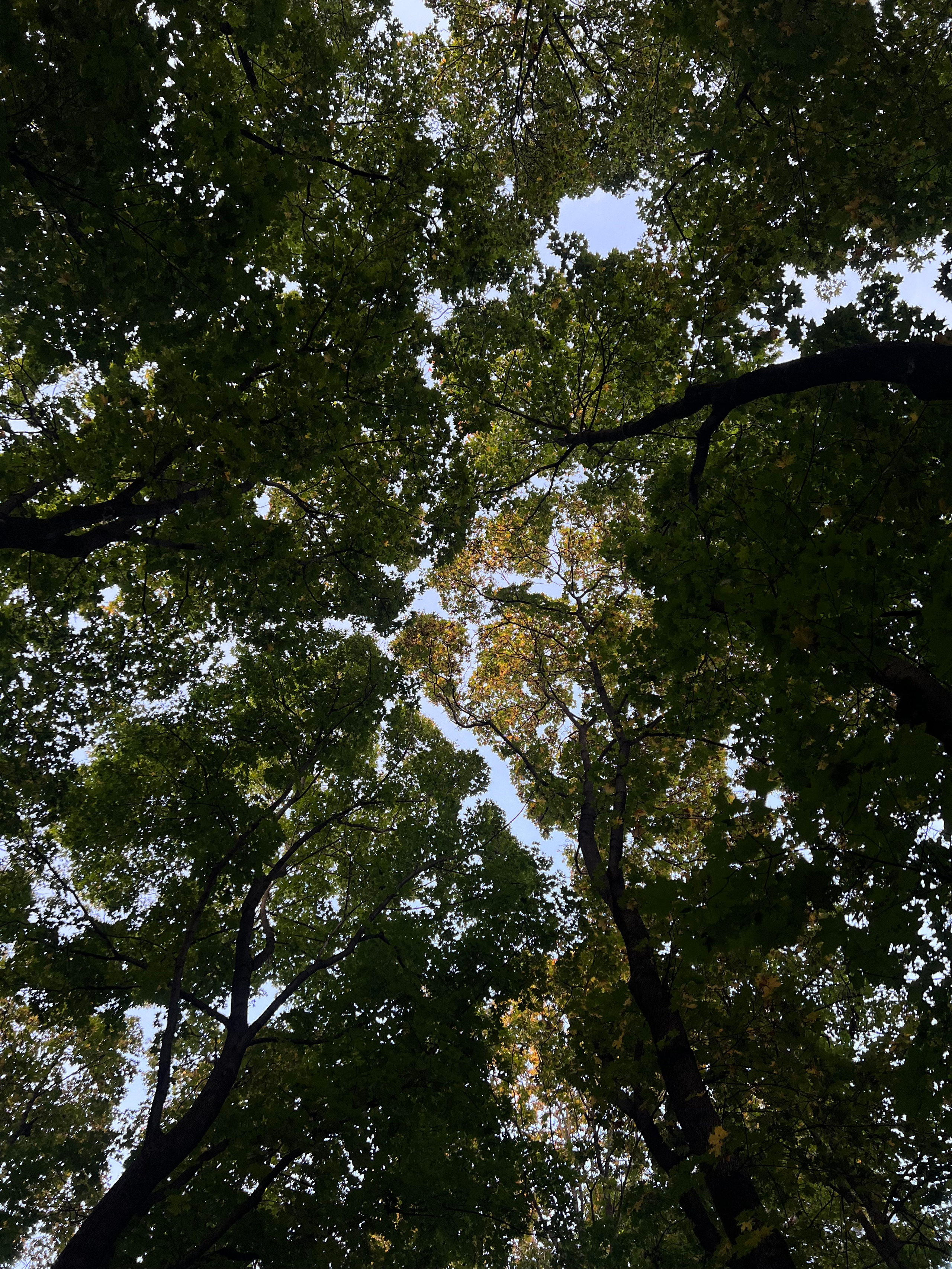 Fragments. Artem Khusainov