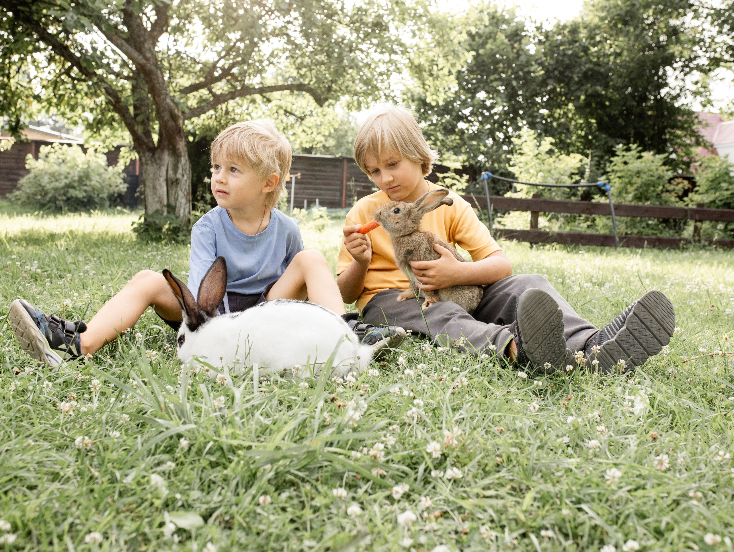 Кролики 2023. Семейный фотограф в Санкт-Петербурге Ирина Иванова