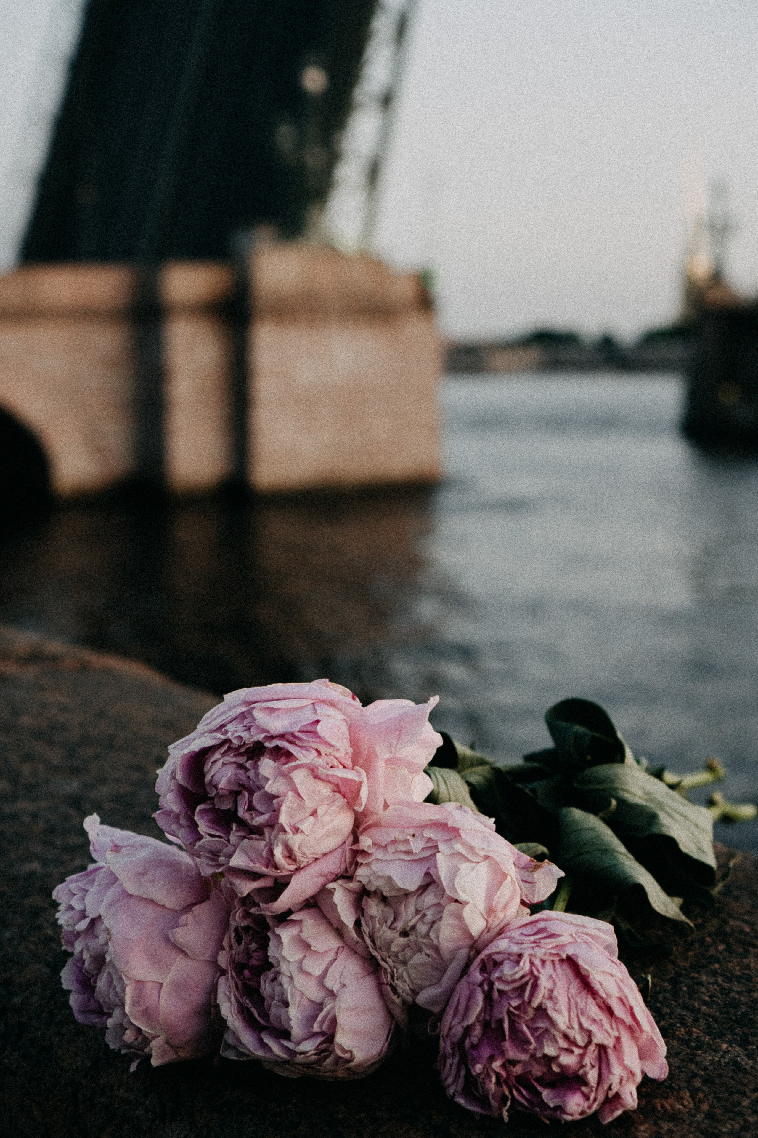 Сьемка мечты. Профессиональный фотограф, Санкт-Петербург — Виктория Богомолова