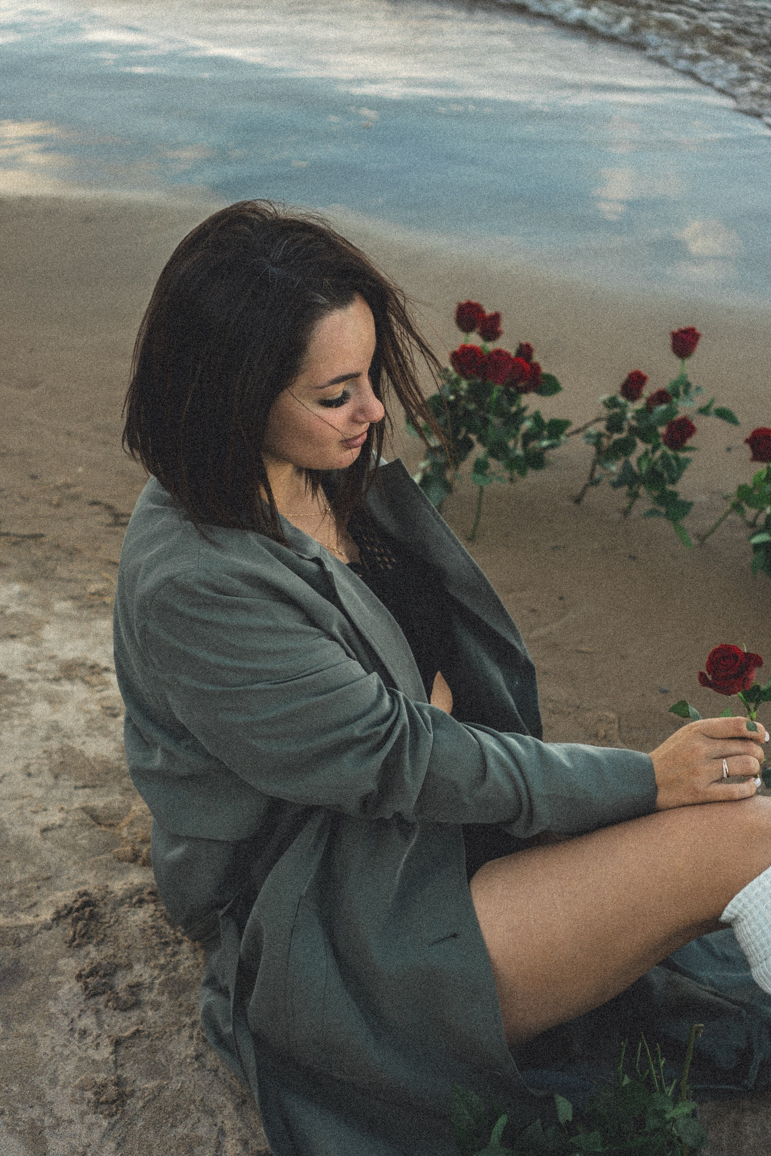 Розы. Профессиональный фотограф, Санкт-Петербург — Виктория Богомолова