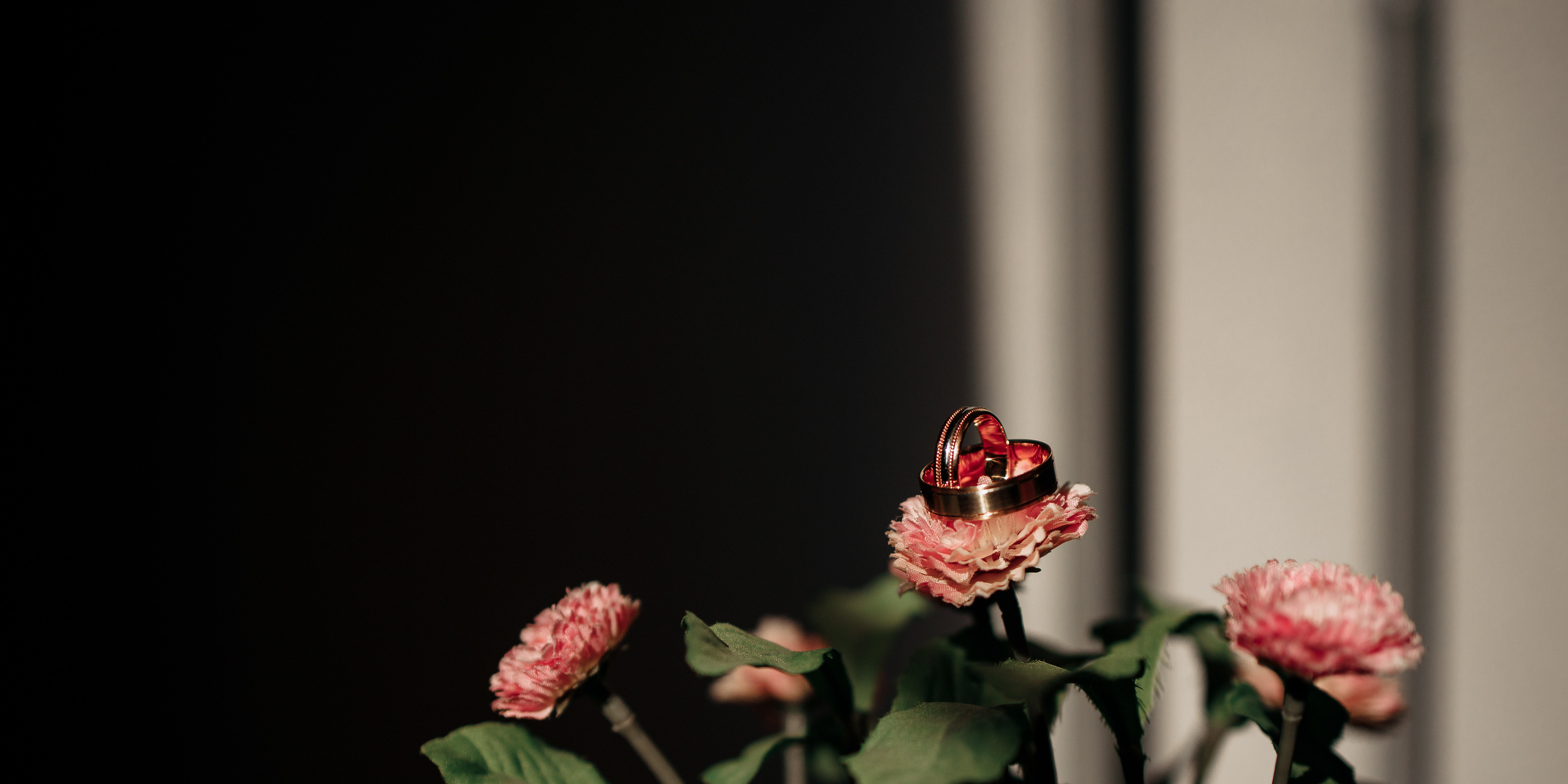 Свадебный фотограф в Смоленске Вашкевич Денис. Свадебный фотограф Вашкевич Денис
