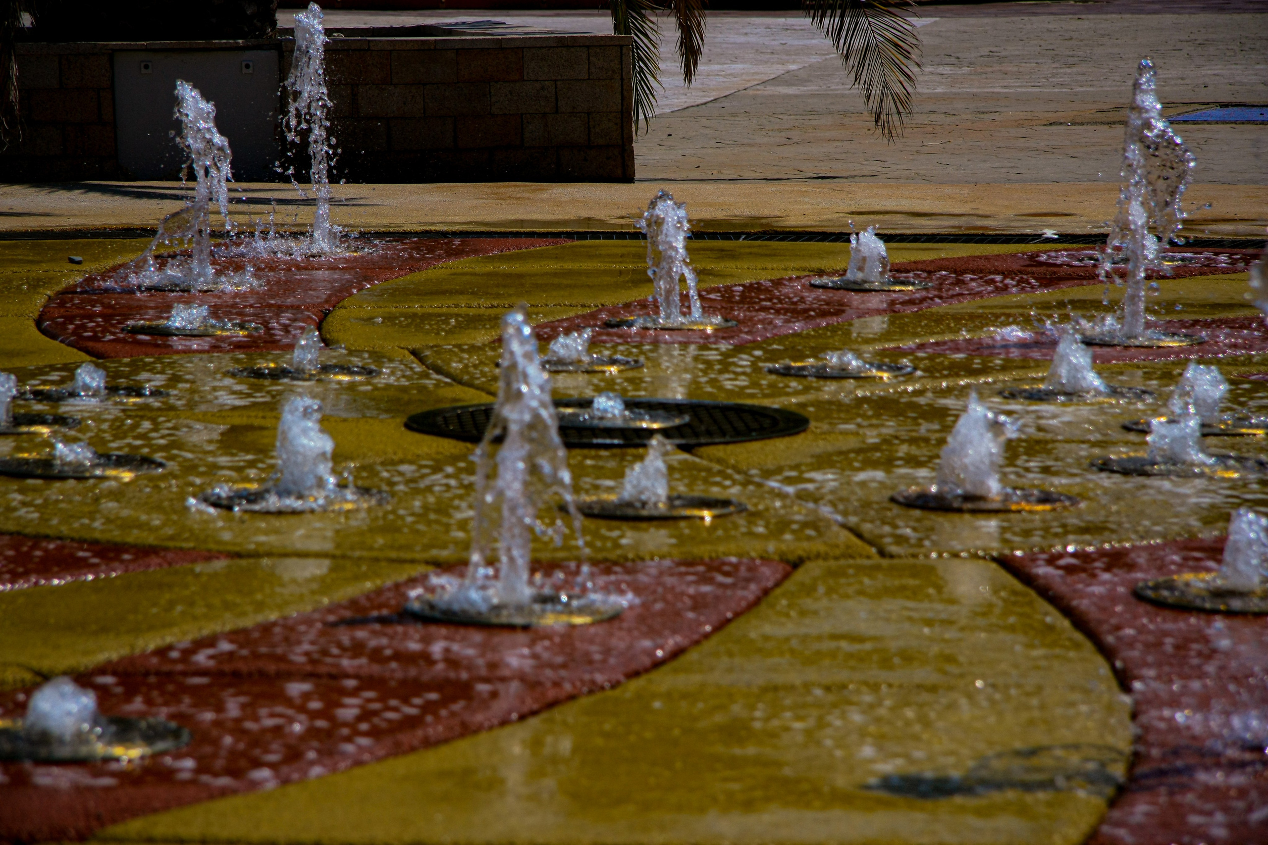 Первые кадры. Сочи — парк. Фотограф Роман Адлер