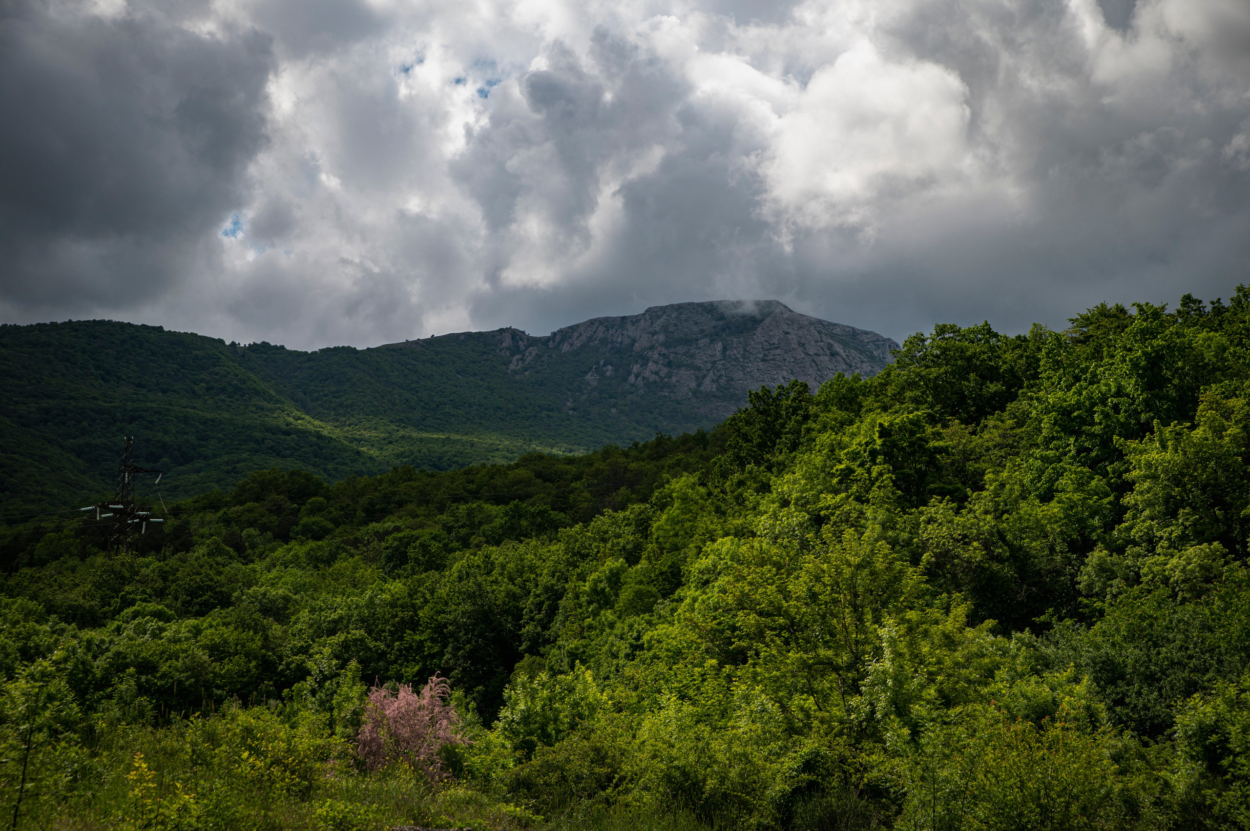 Крым май 2022. Фотограф Роман Адлер