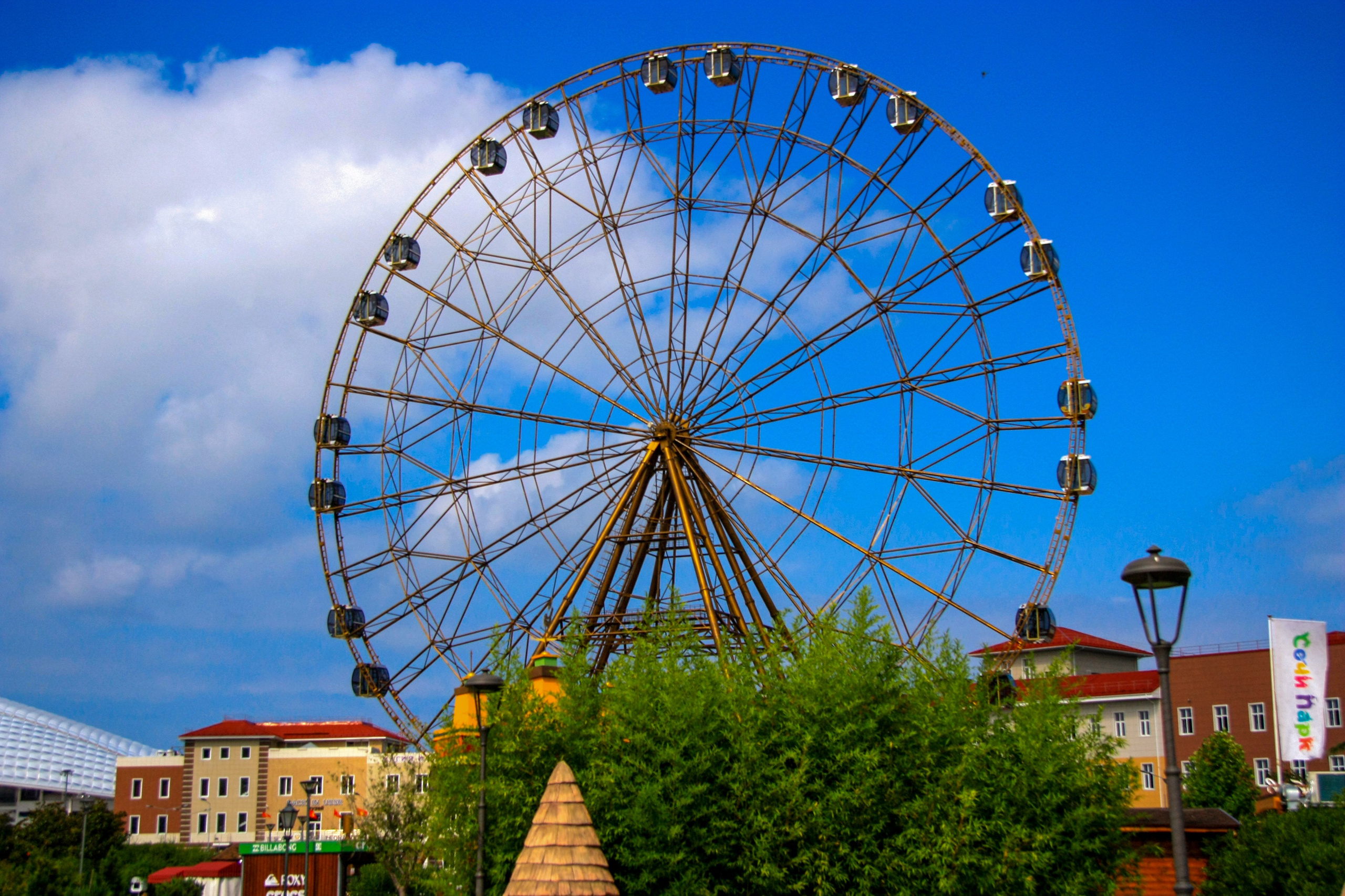 Первые кадры. Сочи — парк. Фотограф Роман Адлер