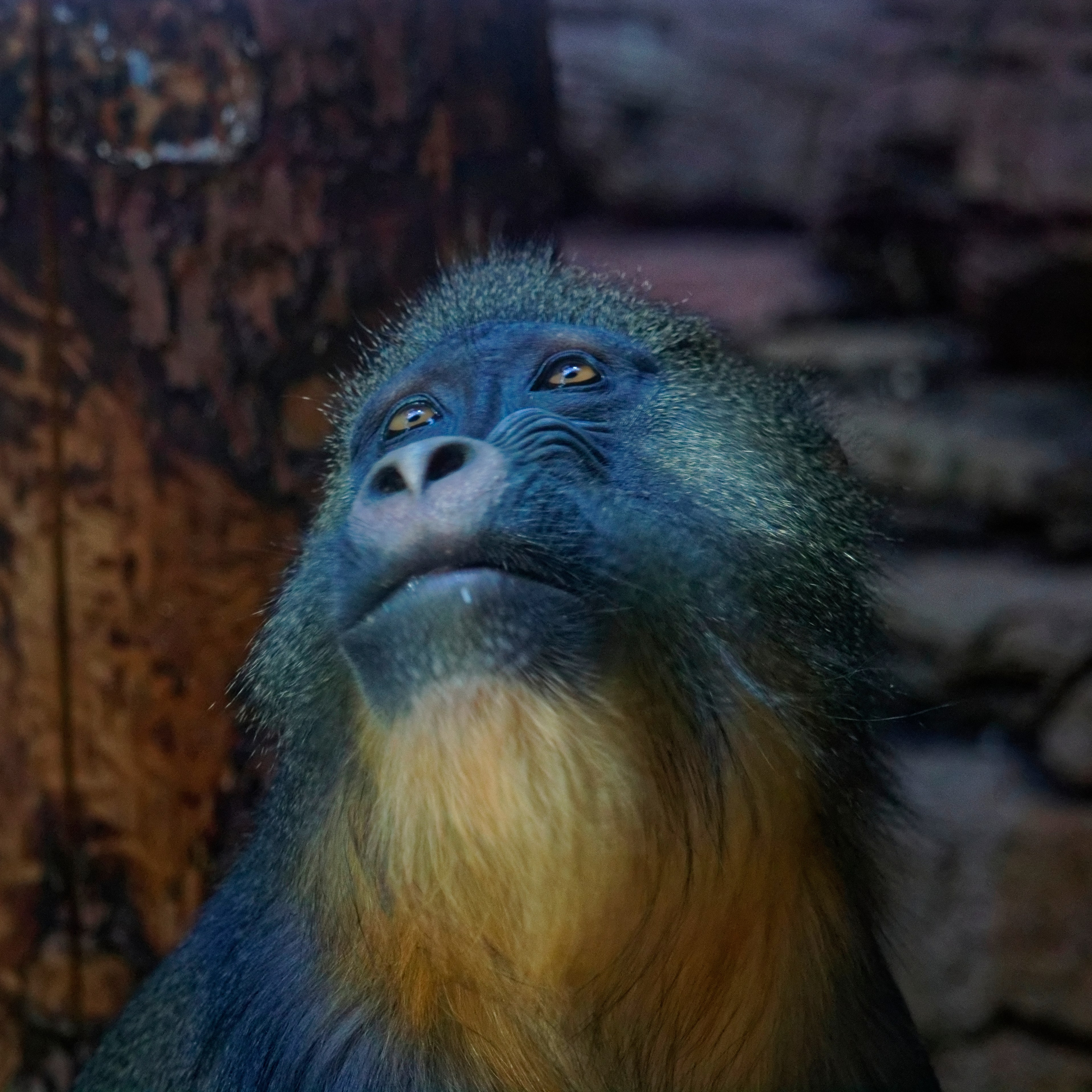 МОСКОВСКИЙ ЗООПАРК. Фотограф Владимир Роля