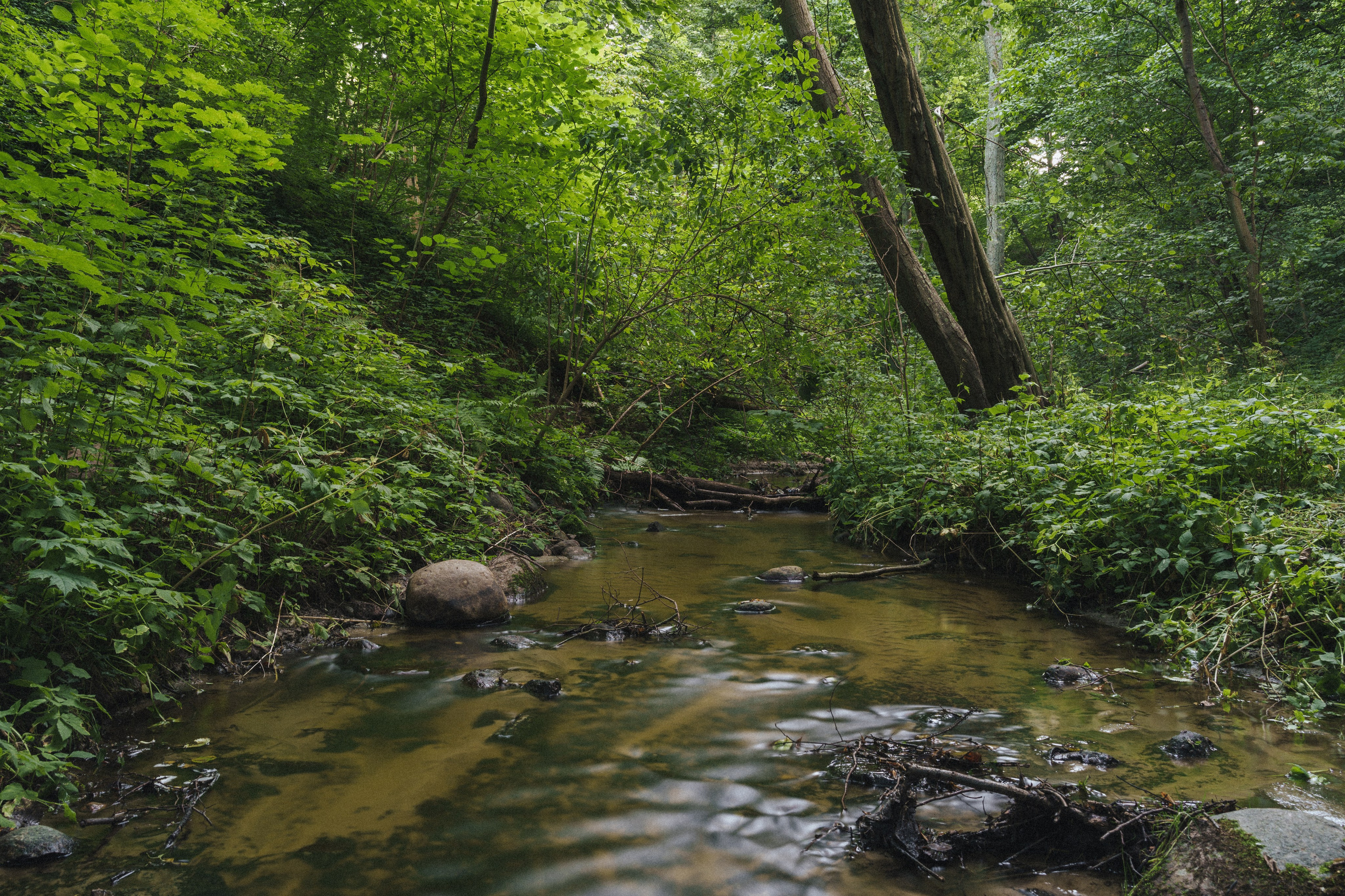 Балтийское море — Калининград. Репортажный, свадебный и портретный фотограф в Казани | Ринат Миниханов