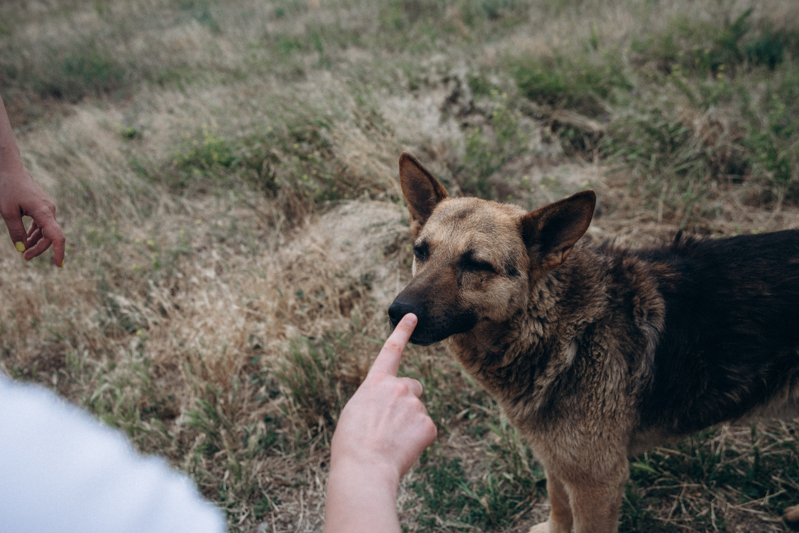 Уплисцихе — Гори, Грузия 🇬🇪 «Honey Trip». Anita_photo