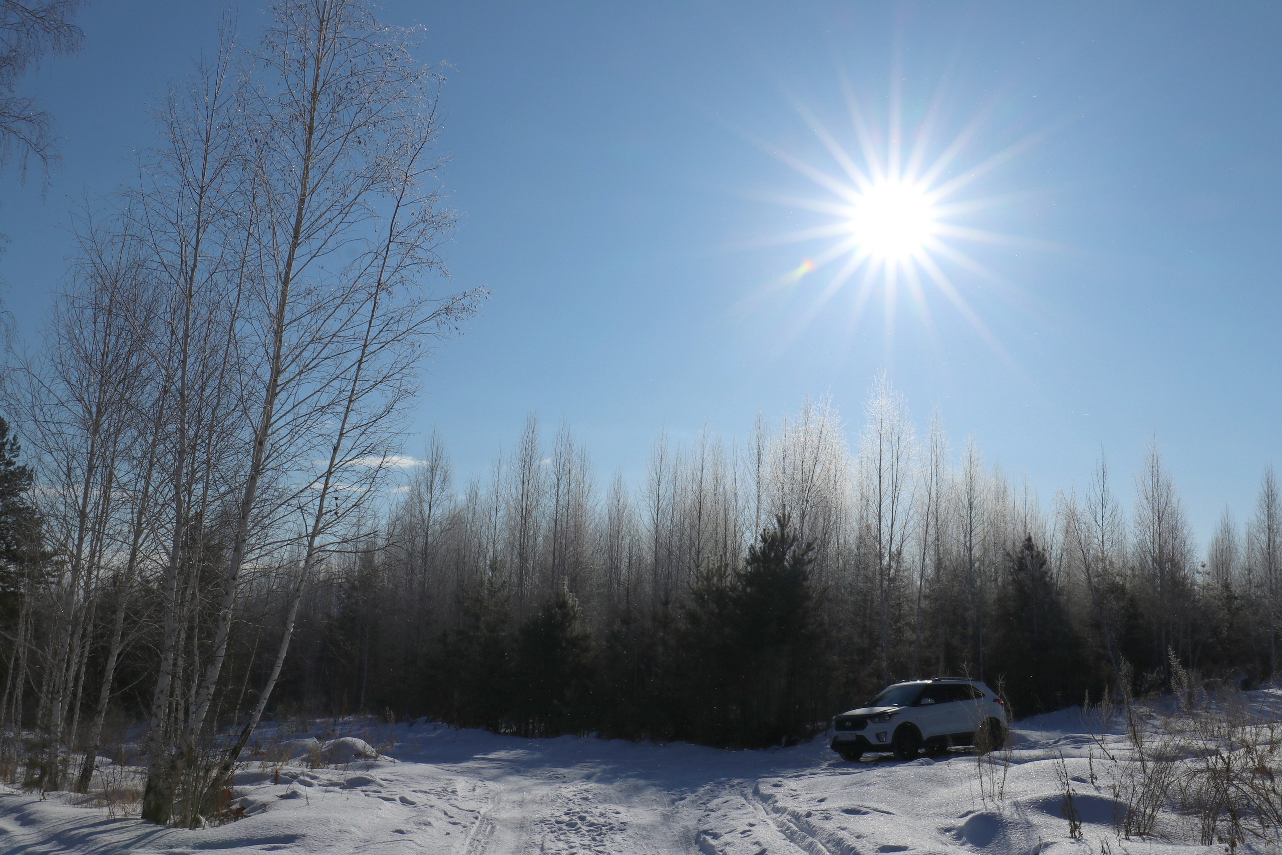 Аршан. Февраль 2025. Путешественник-фотограф из Санкт-Петербурга Татьяна Свистулина