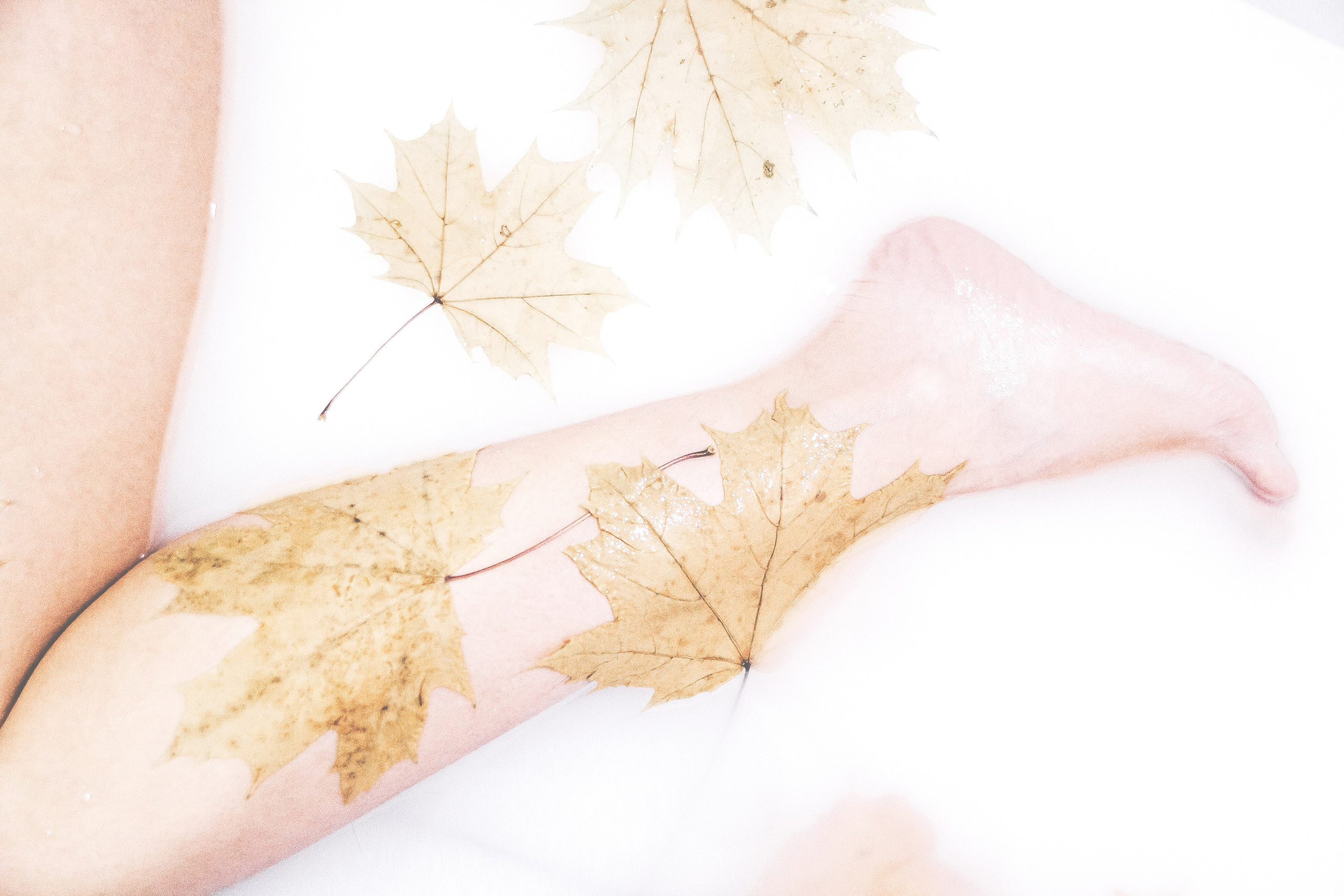 Дома. Мамлеева Виктория — Портретный фотограф в Москве. Все виды фото, от индивидуальных до репортажей, от беременности до семейных фотографий