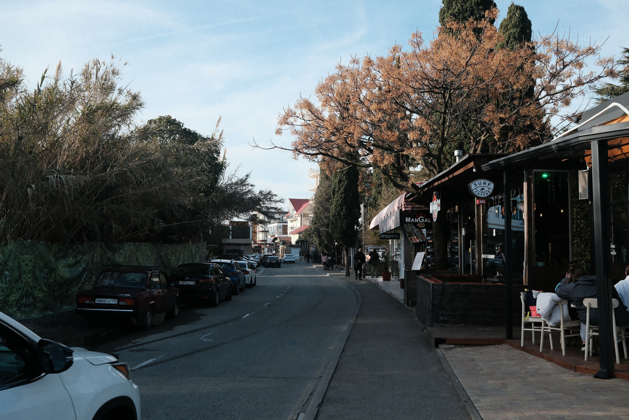 Фотографии зимнего Адлера. Алексей Торопов фотограф