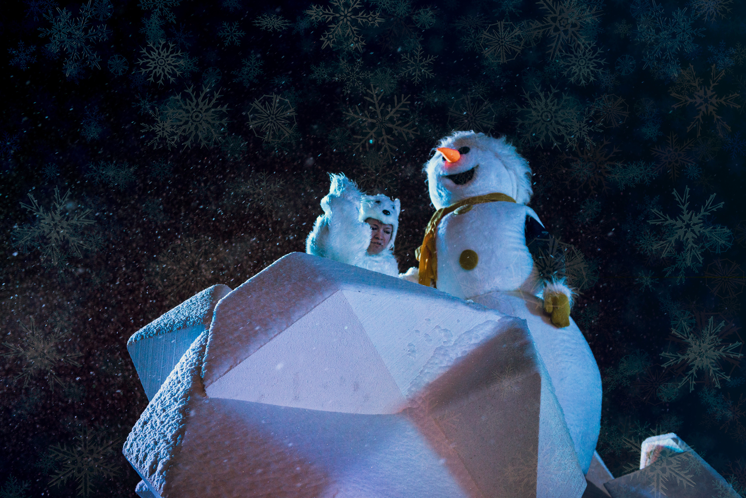 Ice show. Photo & Video production, in Bishkek, Kyrgyzstan