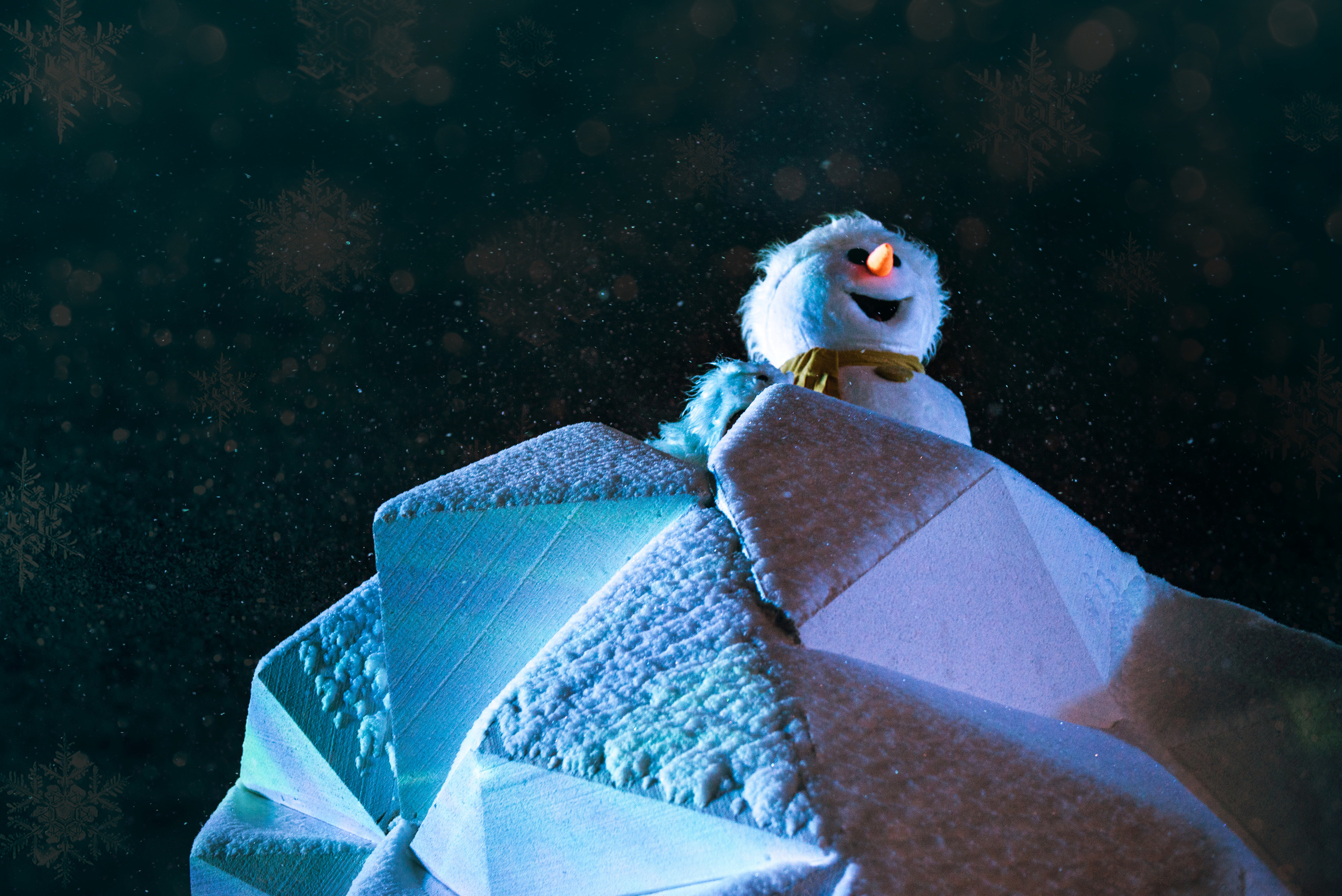 Ice show. Photo & Video production, in Bishkek, Kyrgyzstan