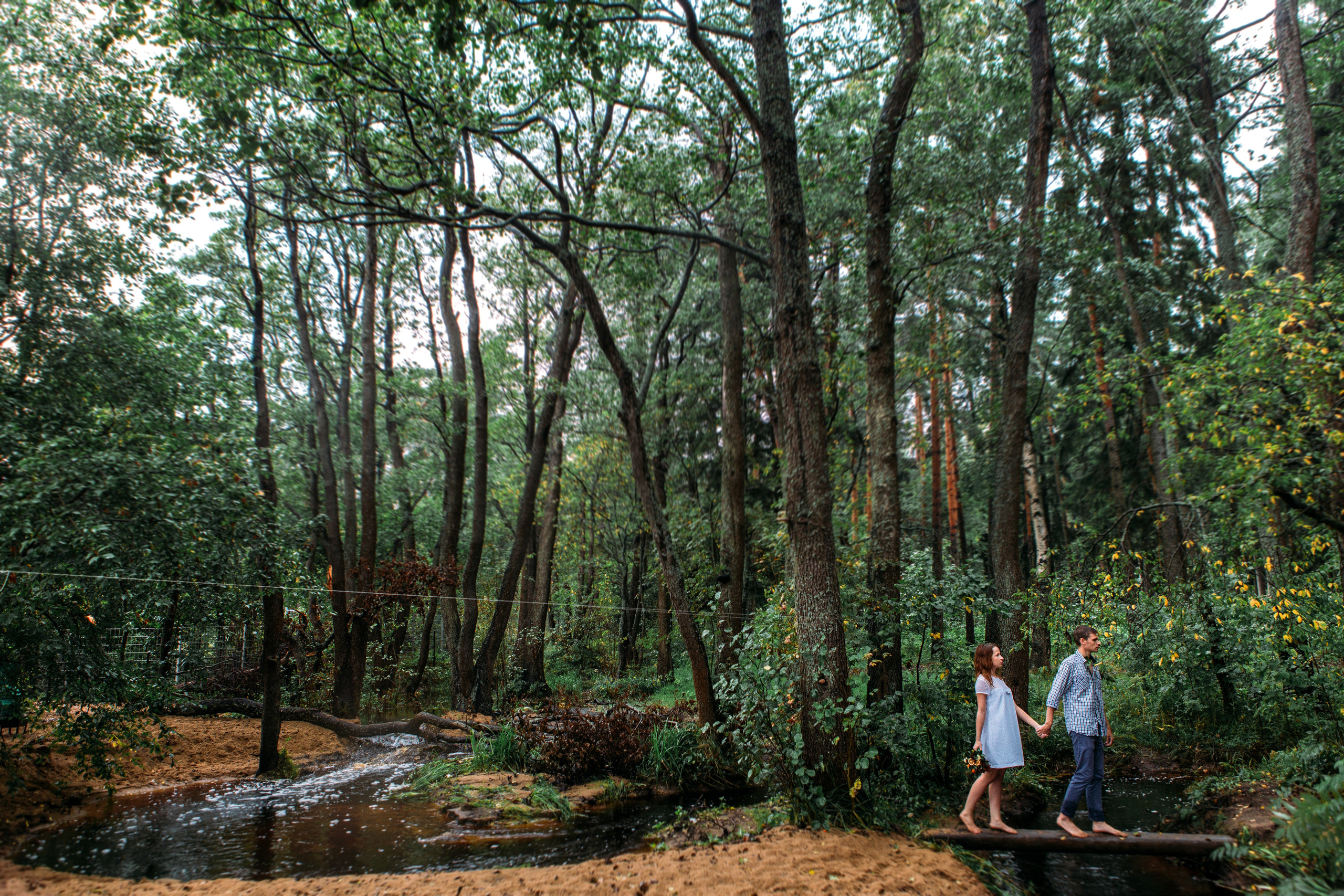Лавстори на природе - удивительные кадры под дождём