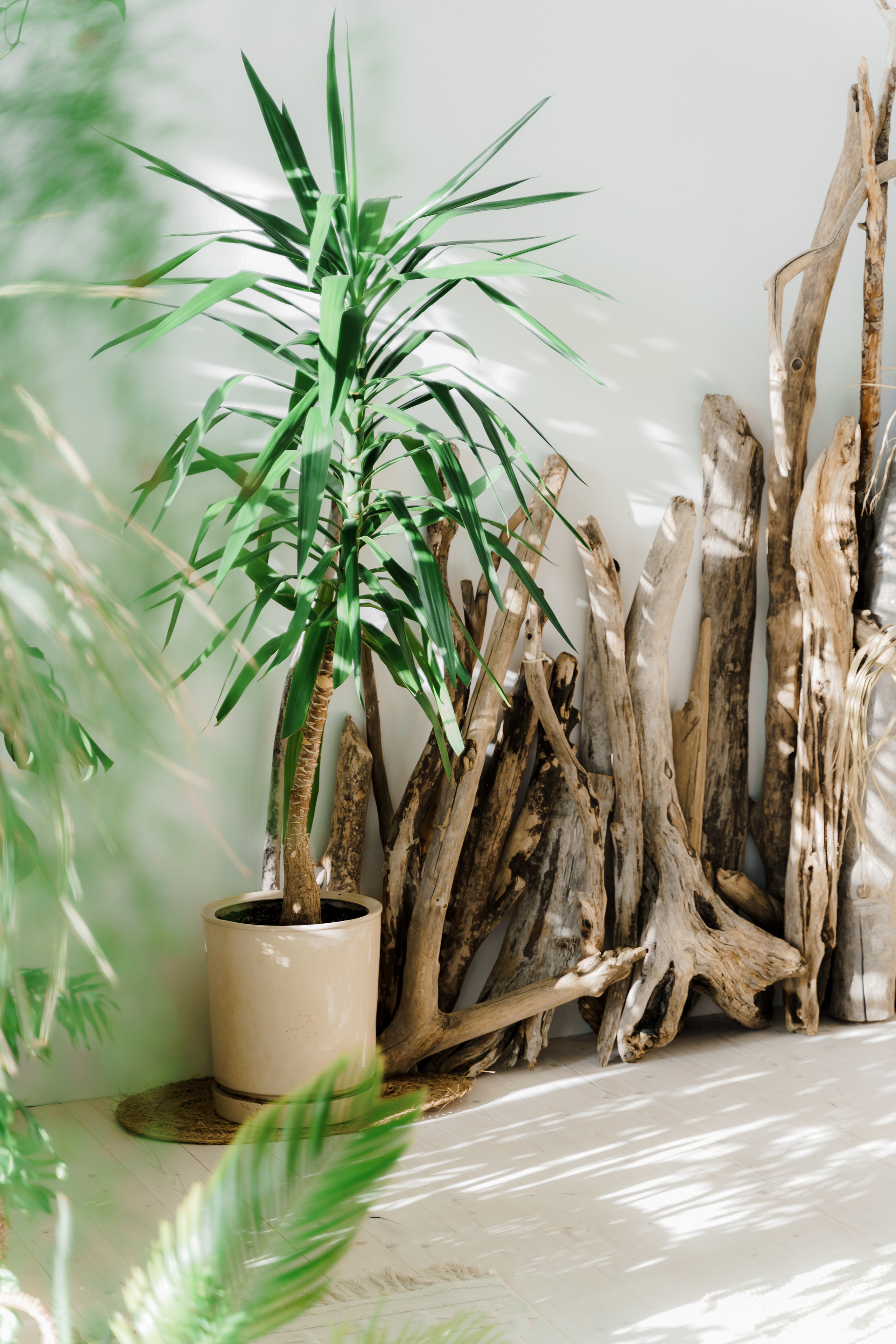 Свадебная фотосъемка, свадьба, свадебный фотограф, фотограф видеограф