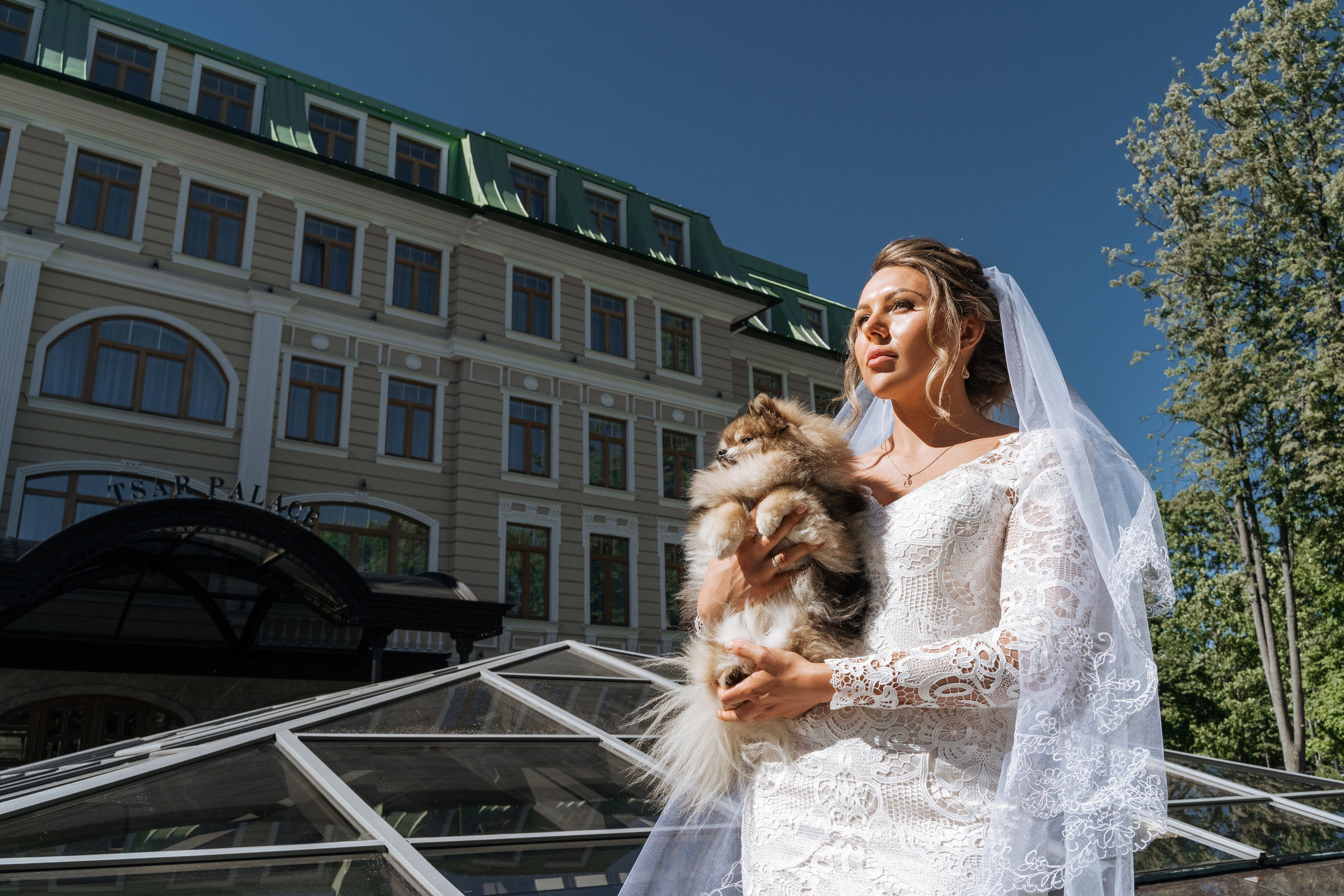 Свадебная фотосъемка, видео, свадебный фотограф, фотограф видеограф