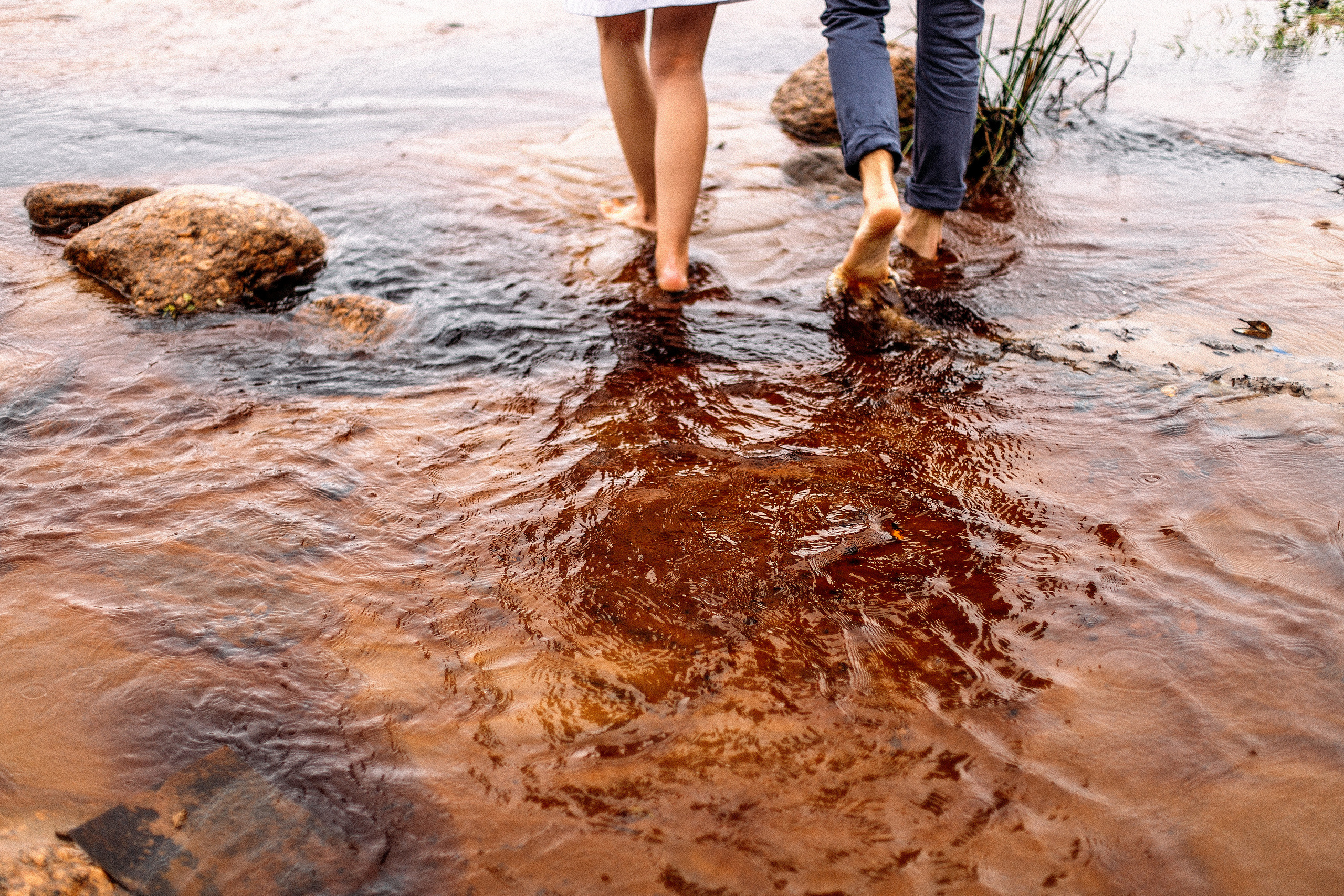 Лавстори на природе - удивительные кадры под дождём