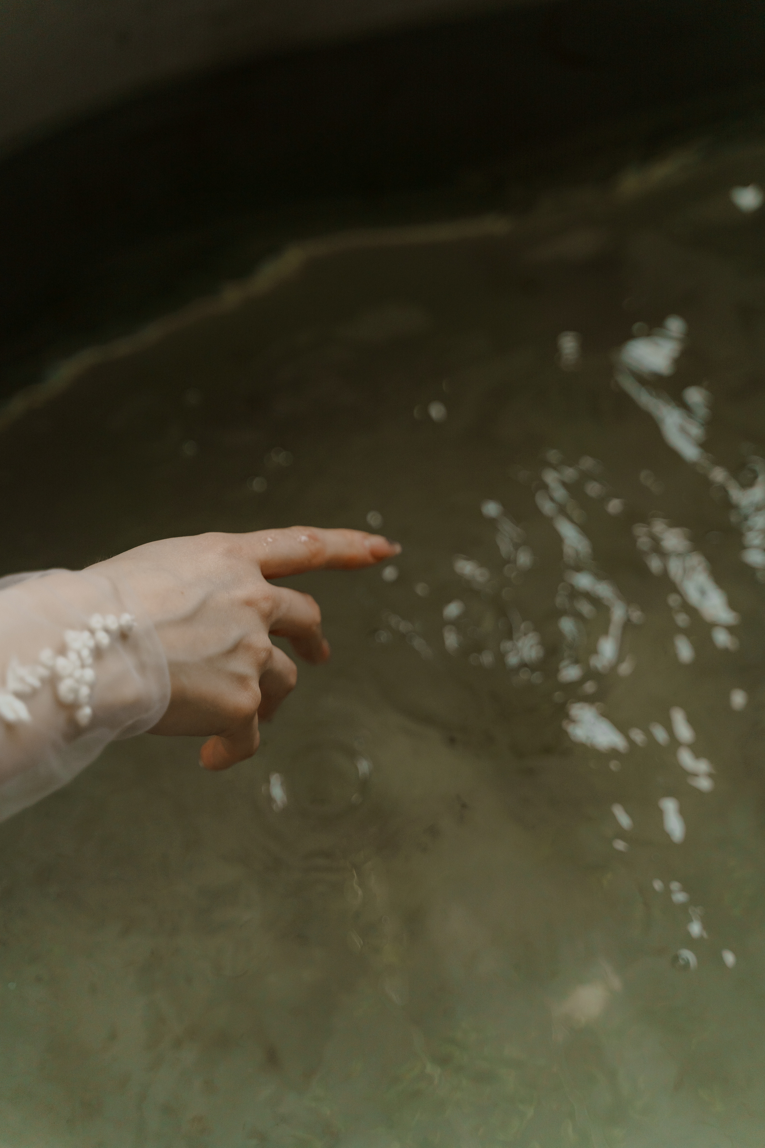 Свадебная фотосъемка, свадьба, свадебный фотограф, фотограф видеограф