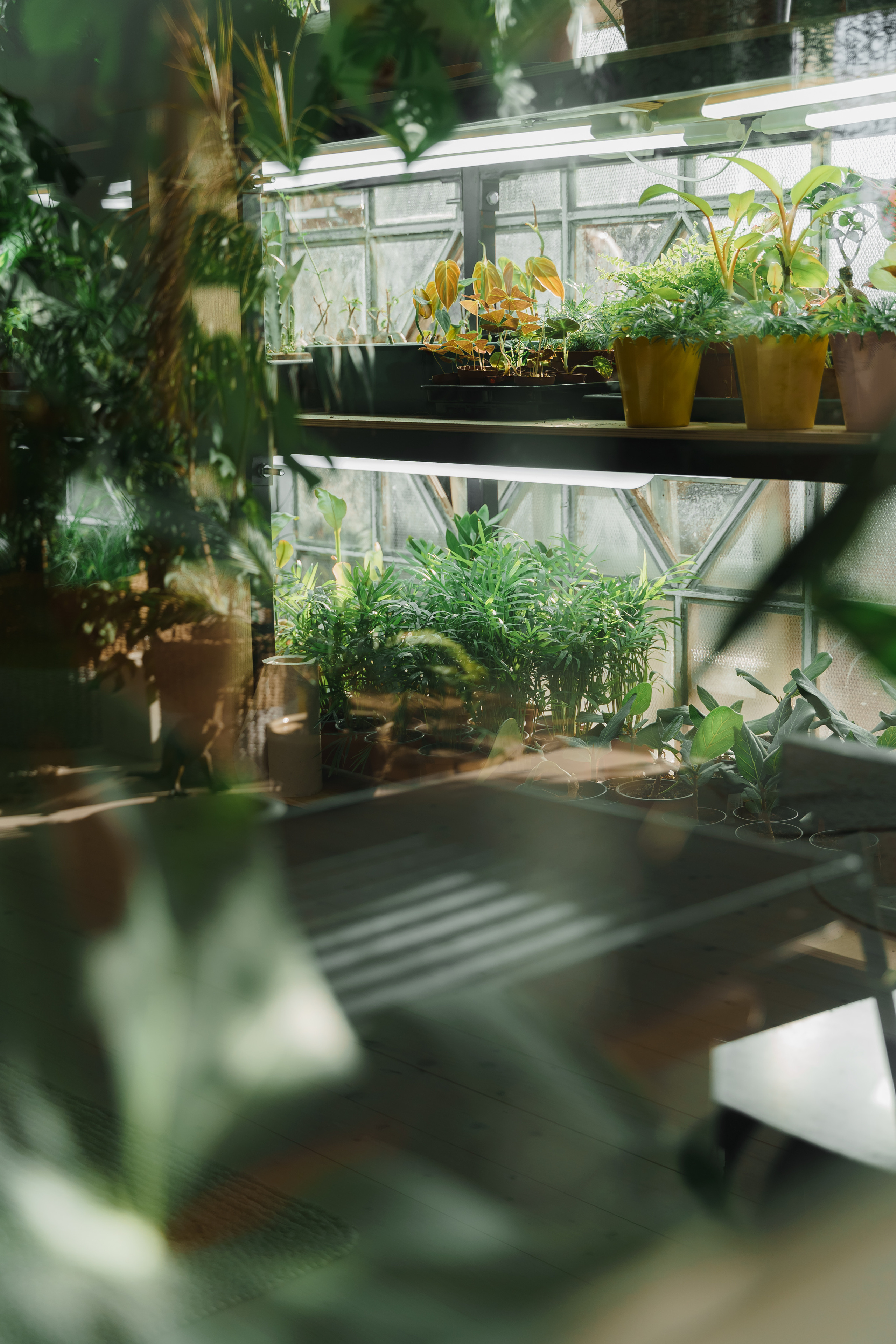 Свадебная фотосъемка, свадьба, свадебный фотограф, фотограф видеограф