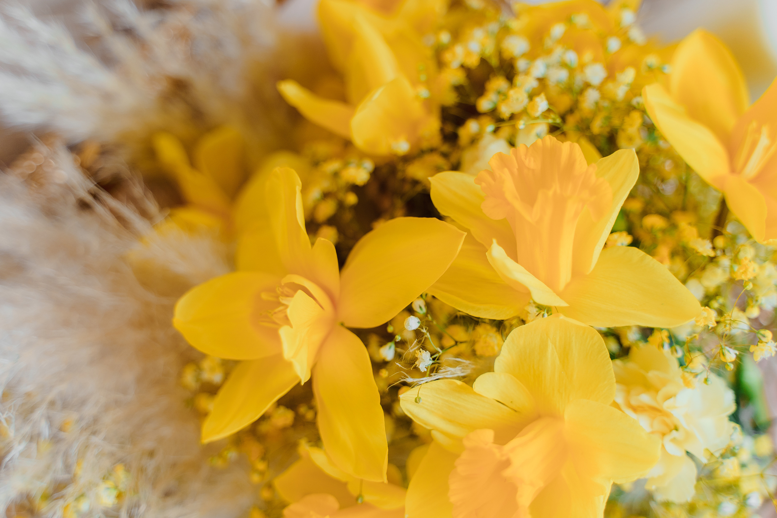 Свадебная фотосъемка, свадьба, свадебный фотограф, фотограф видеограф