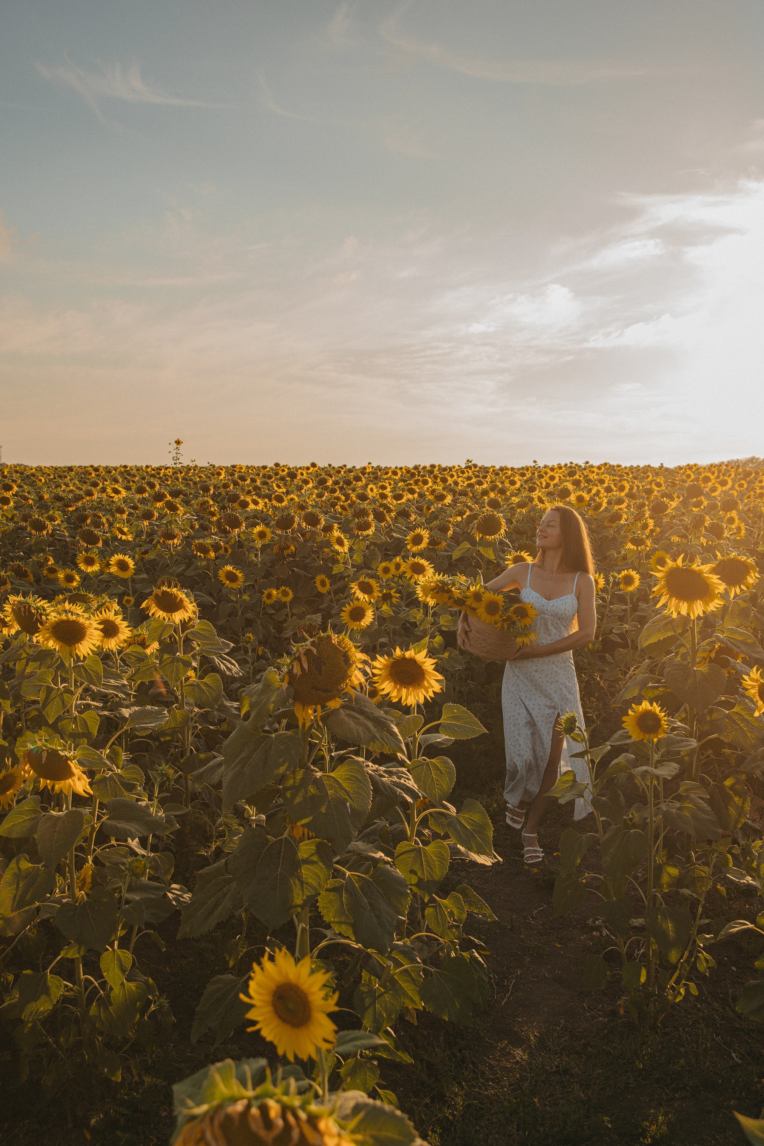 Сьемка в подсолнухах
