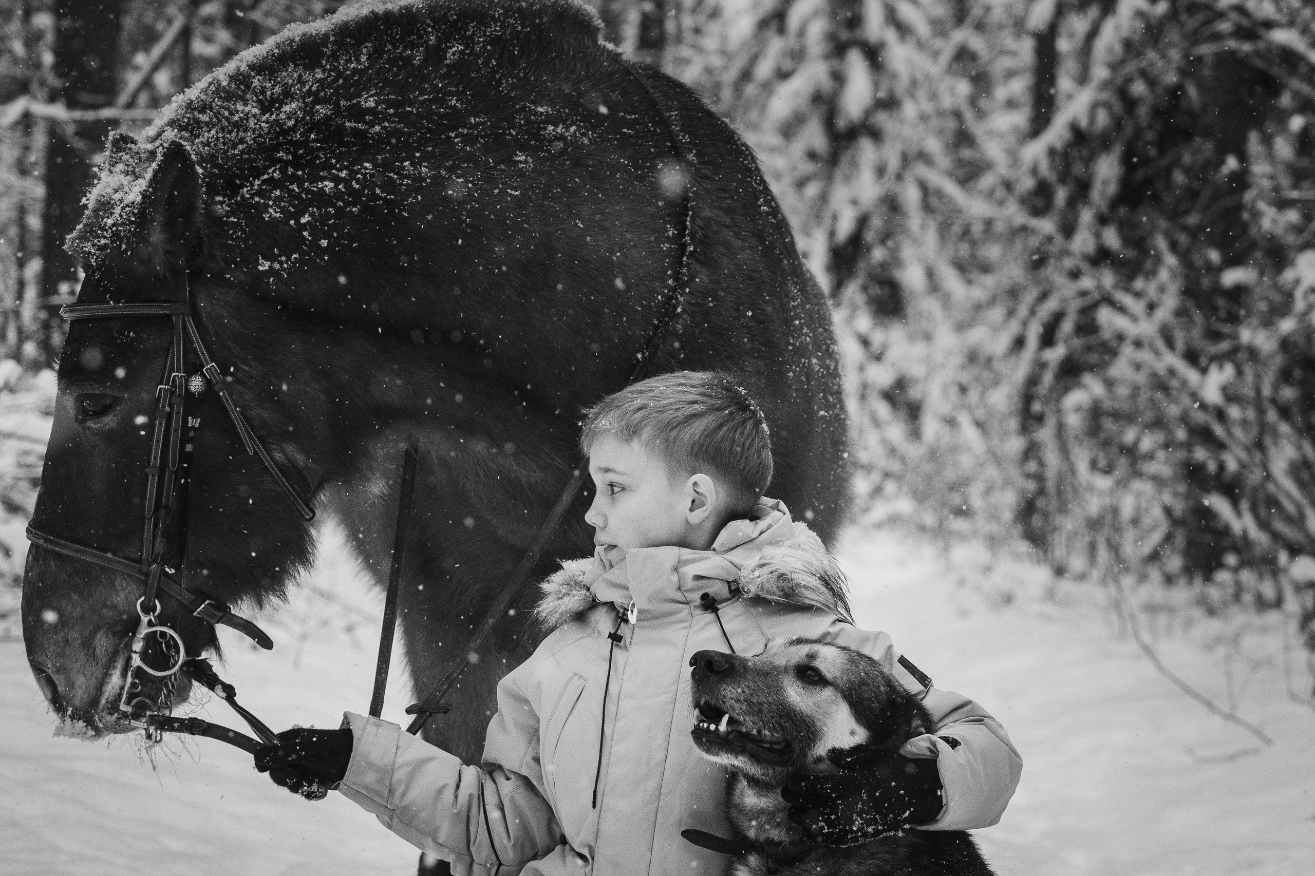 Портретный фотограф Олеся Владимирова в Москве