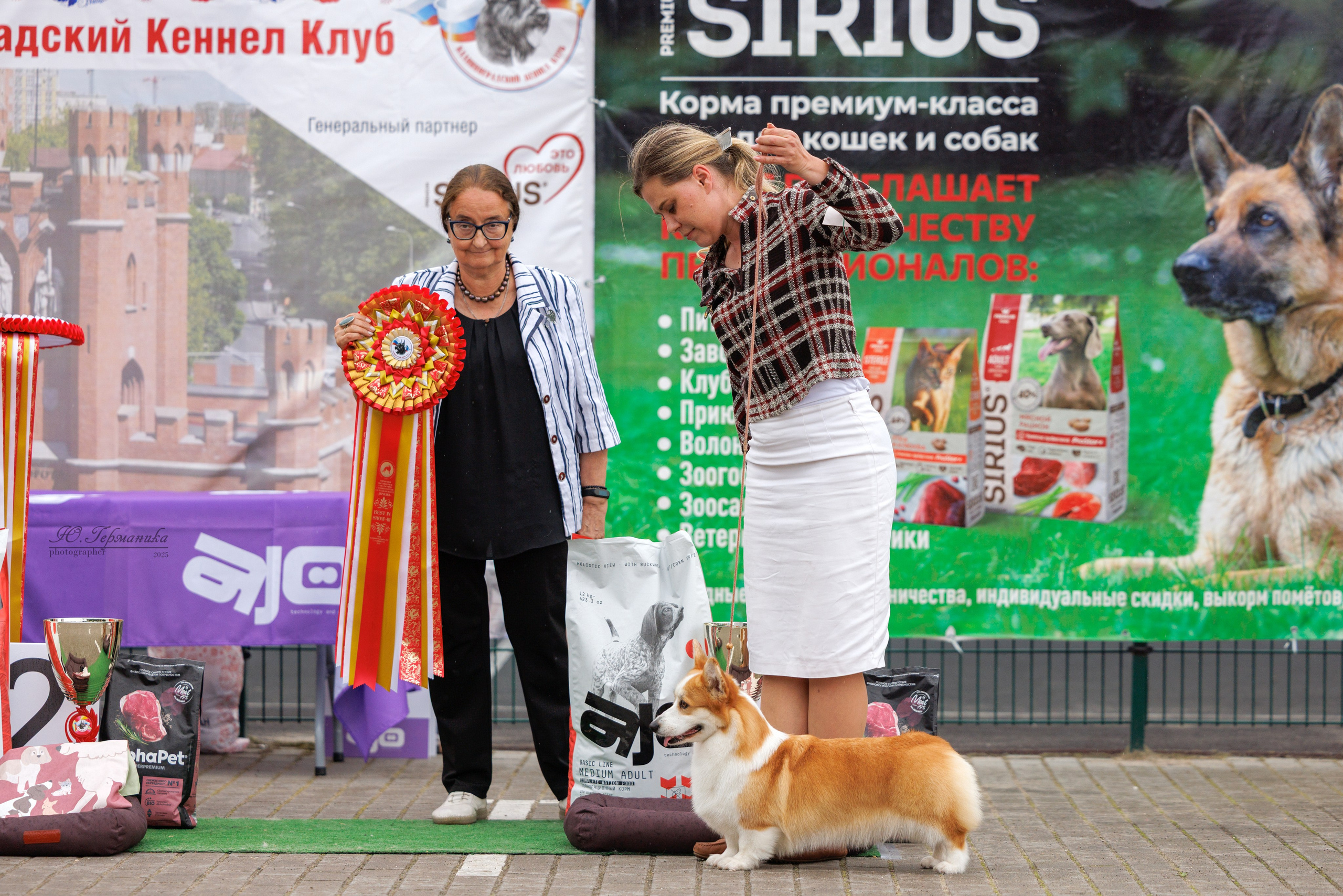 Калининград 25-27.07 Волгоград 1-3.08 2025. Фотограф-анималист Юлия Германика