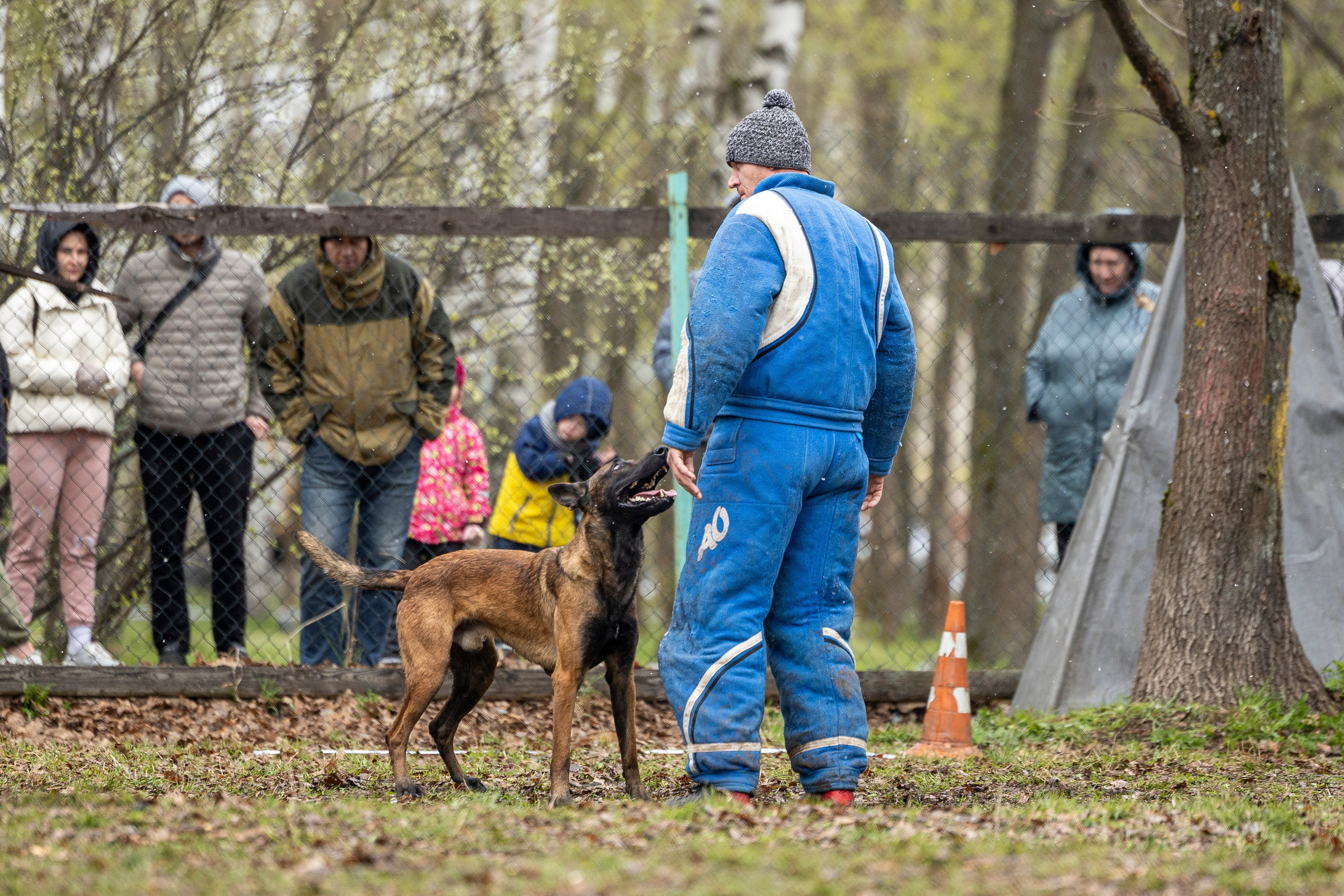 Квалификационные состязания по мондьорингу г. Вологда 11.05.24. Фотограф-анималист Анна Маринич