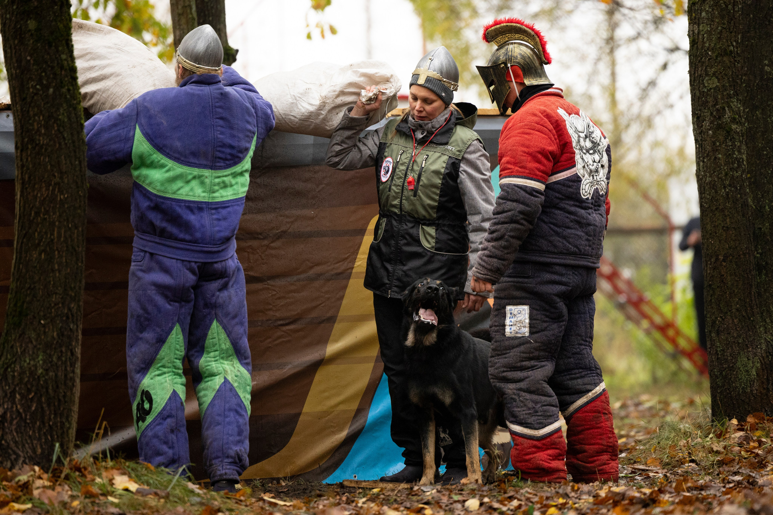 Соревнования по Мондьорингу г. Вологда. Фотограф-анималист Анна Маринич