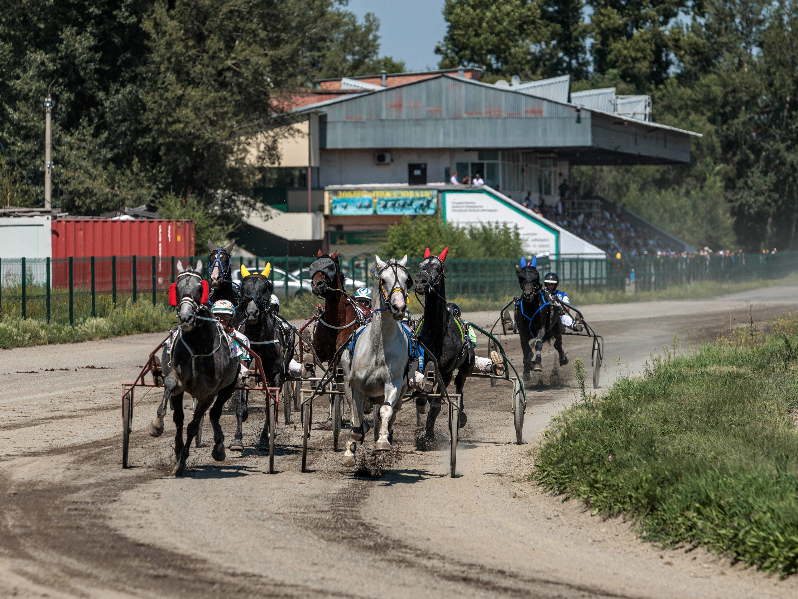 Зарисовки Абаканский ипподром 2025. Конный фотограф в Красноярске — Любовь Похабова