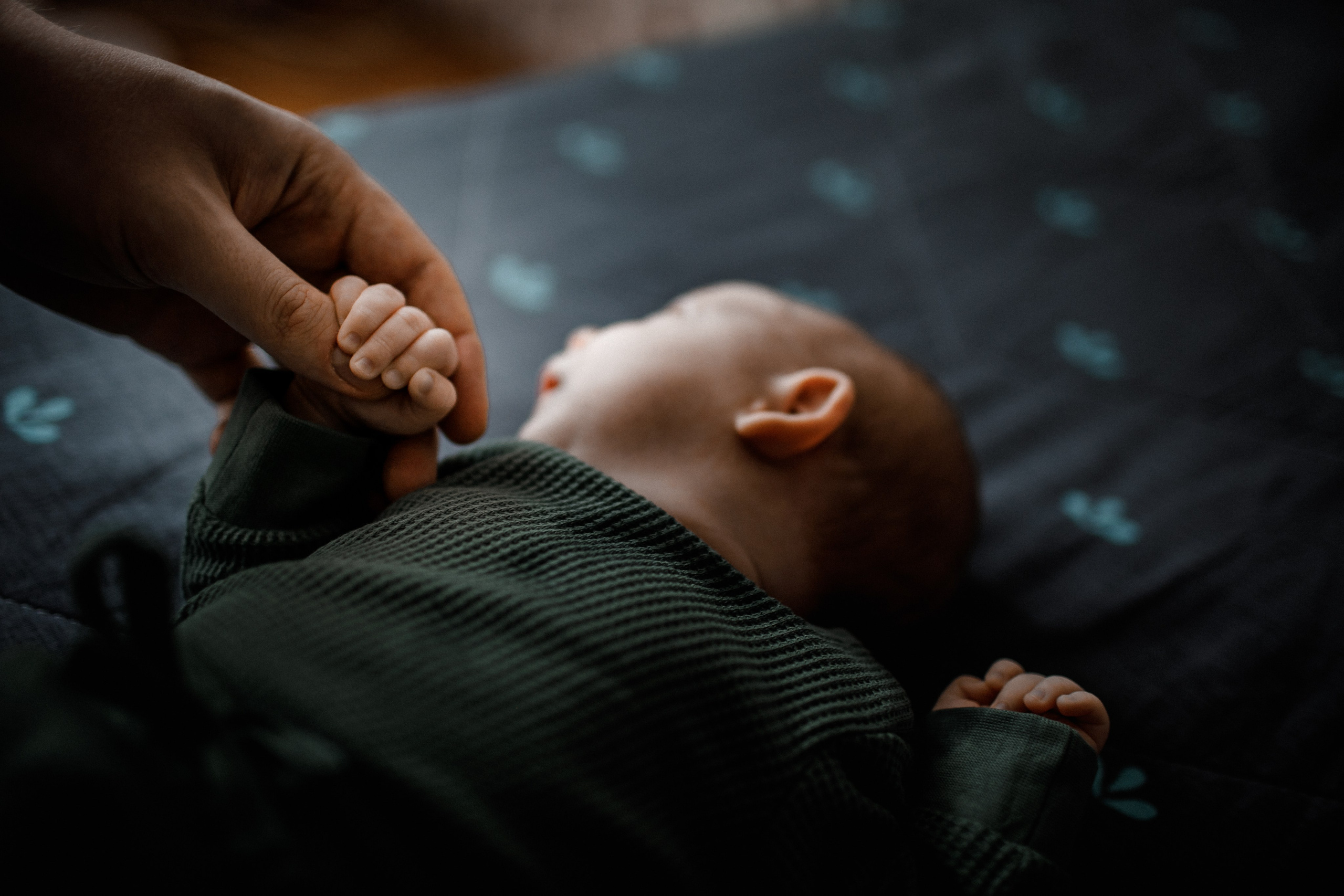 Фотосессии в цветении Москва семейный фотограф