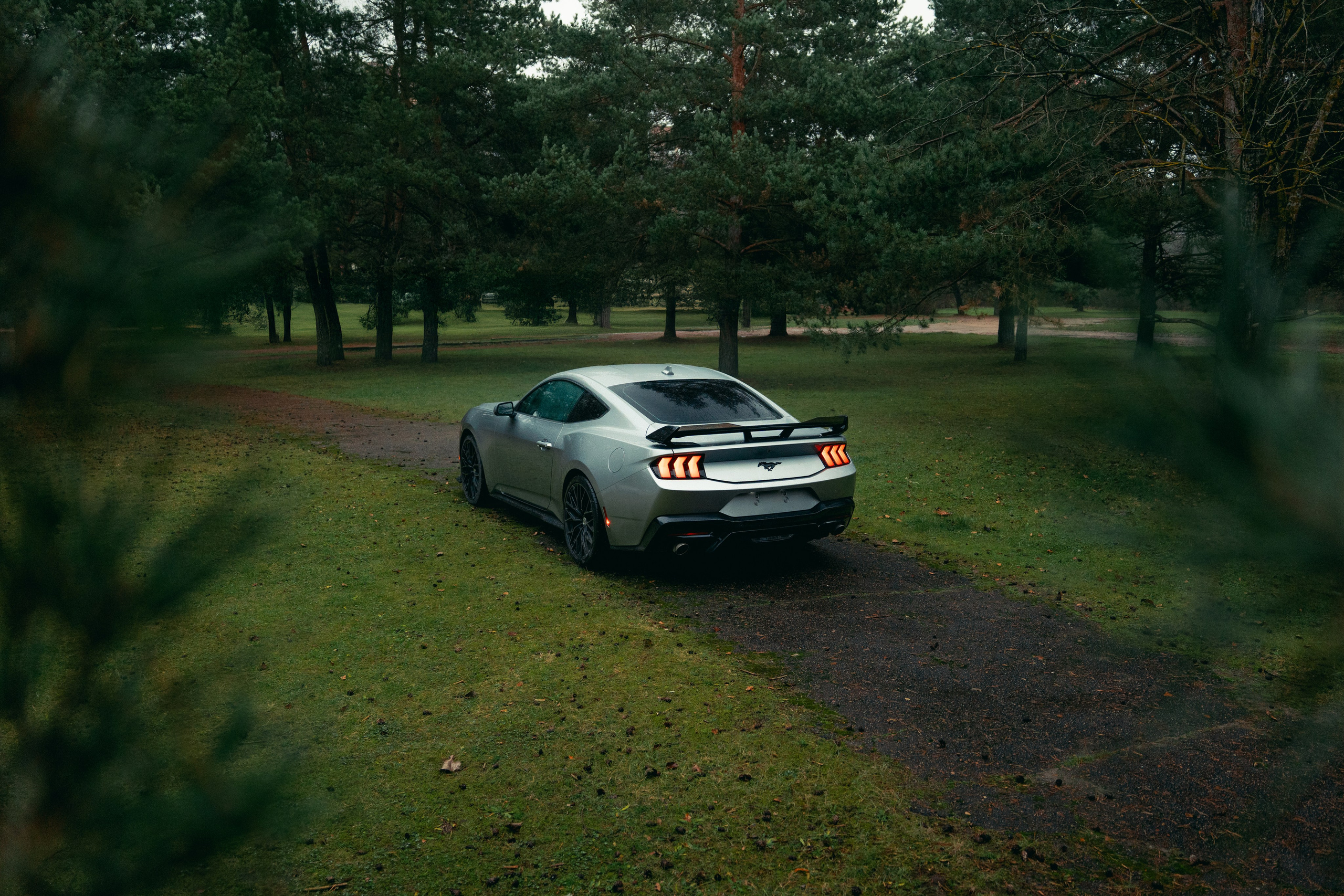 Фотографии Ford Mustang