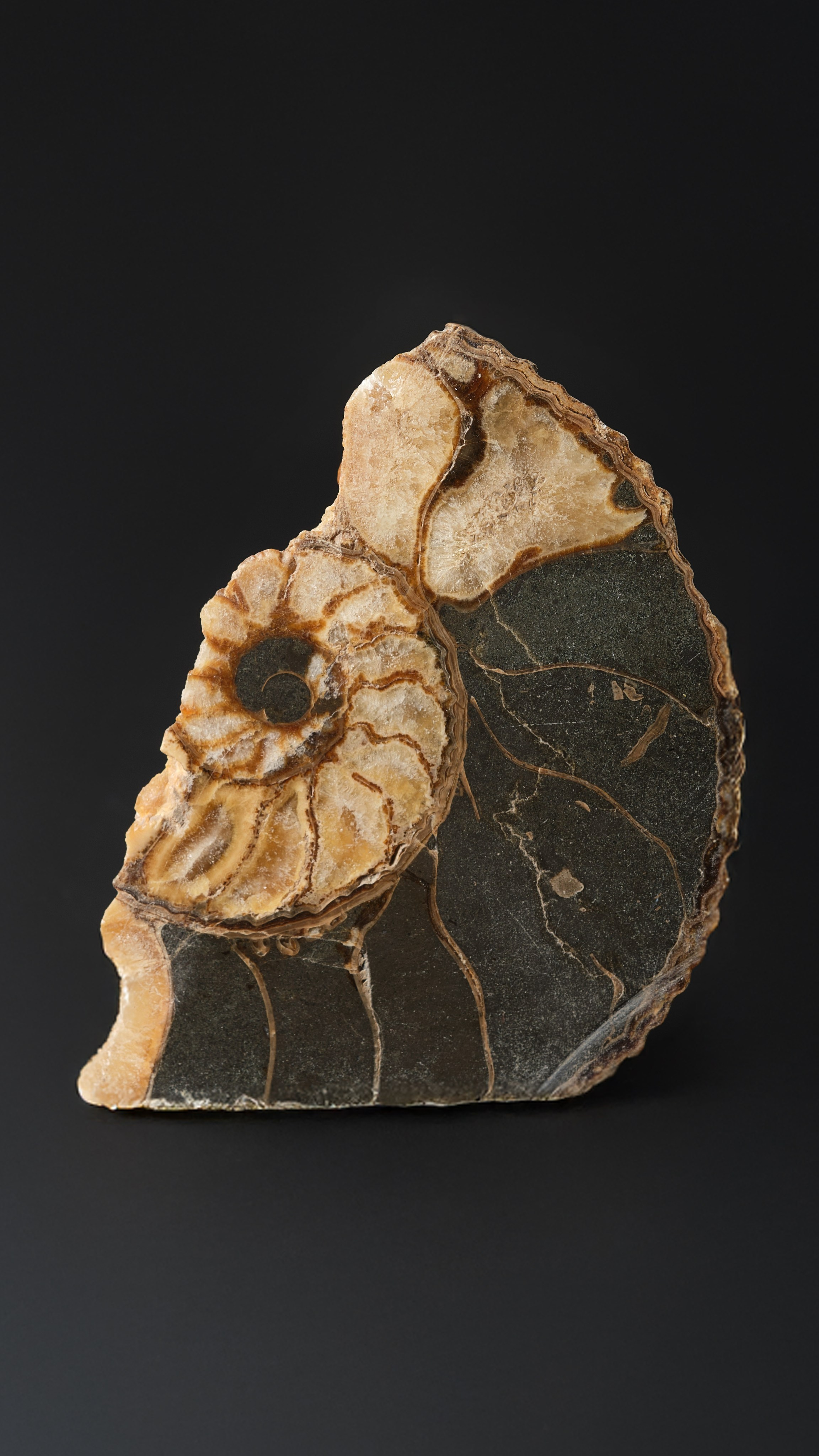 Камни. Предметный фотограф в Краснодаре