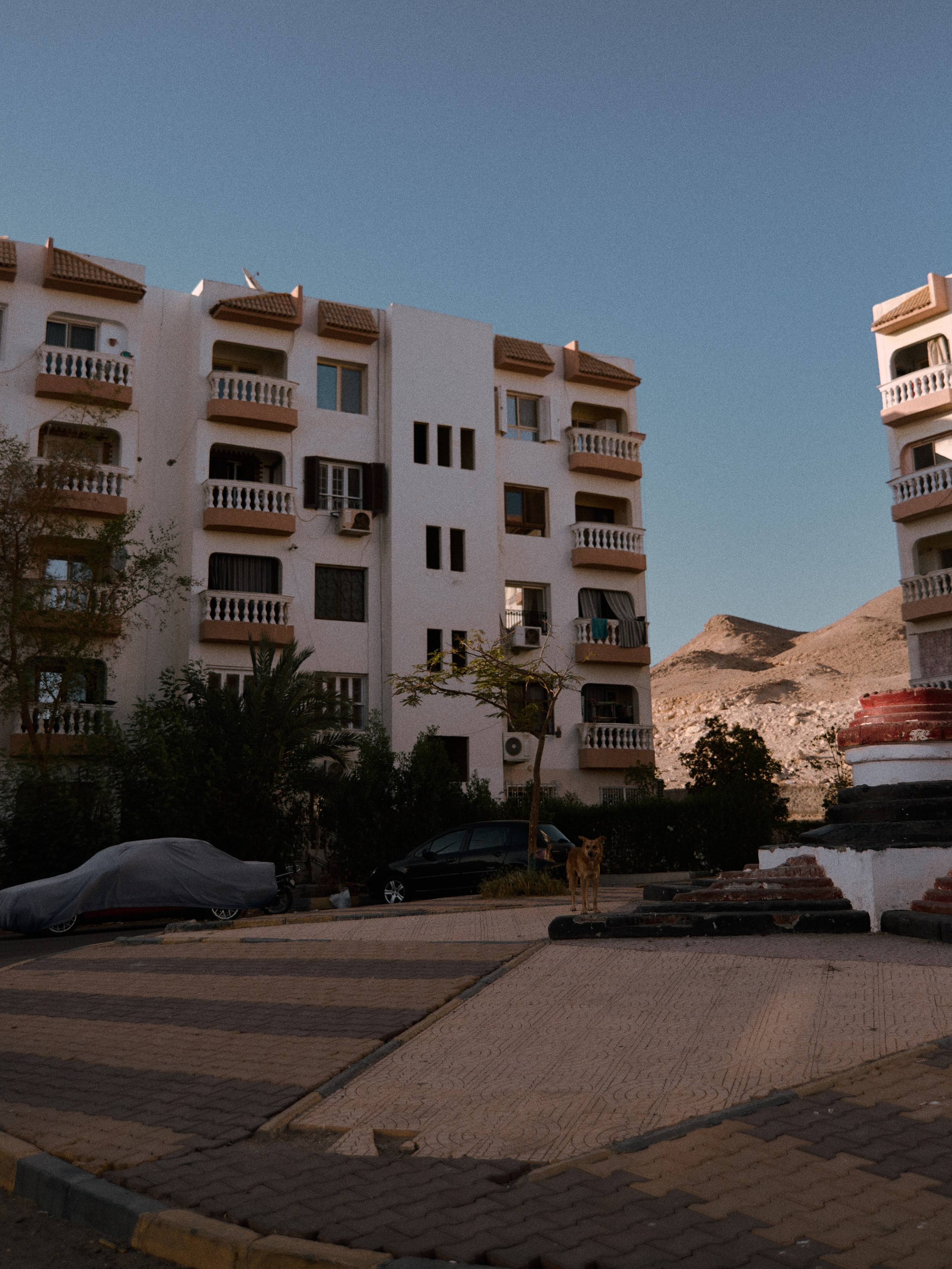 Улицы. Jorgis Talè — photographer, kind person, teacher of arts and other mag