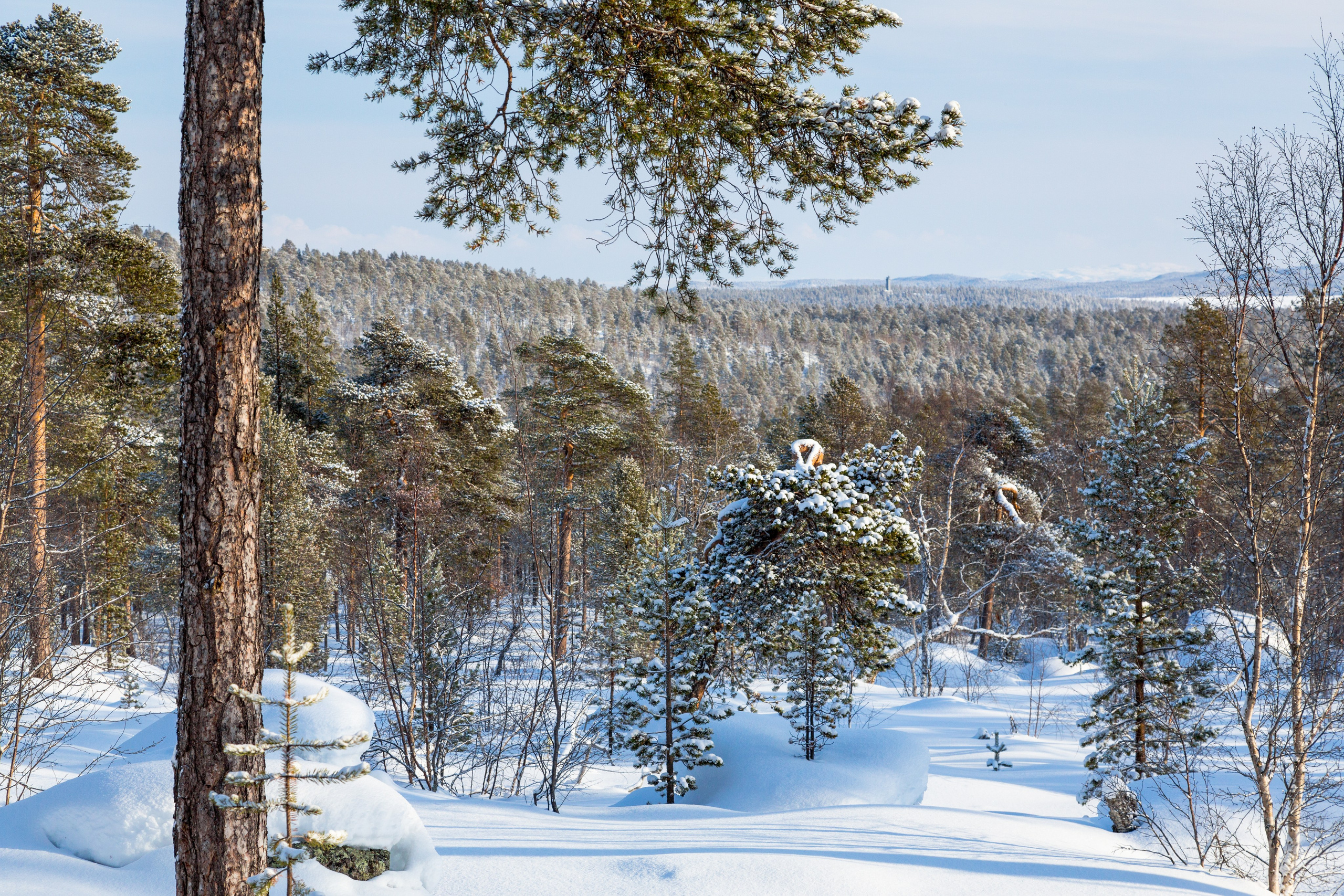 Зима. Пейзажи Крайнего Севера. Баренцево море, Рыбачий, Средний, Немецкий