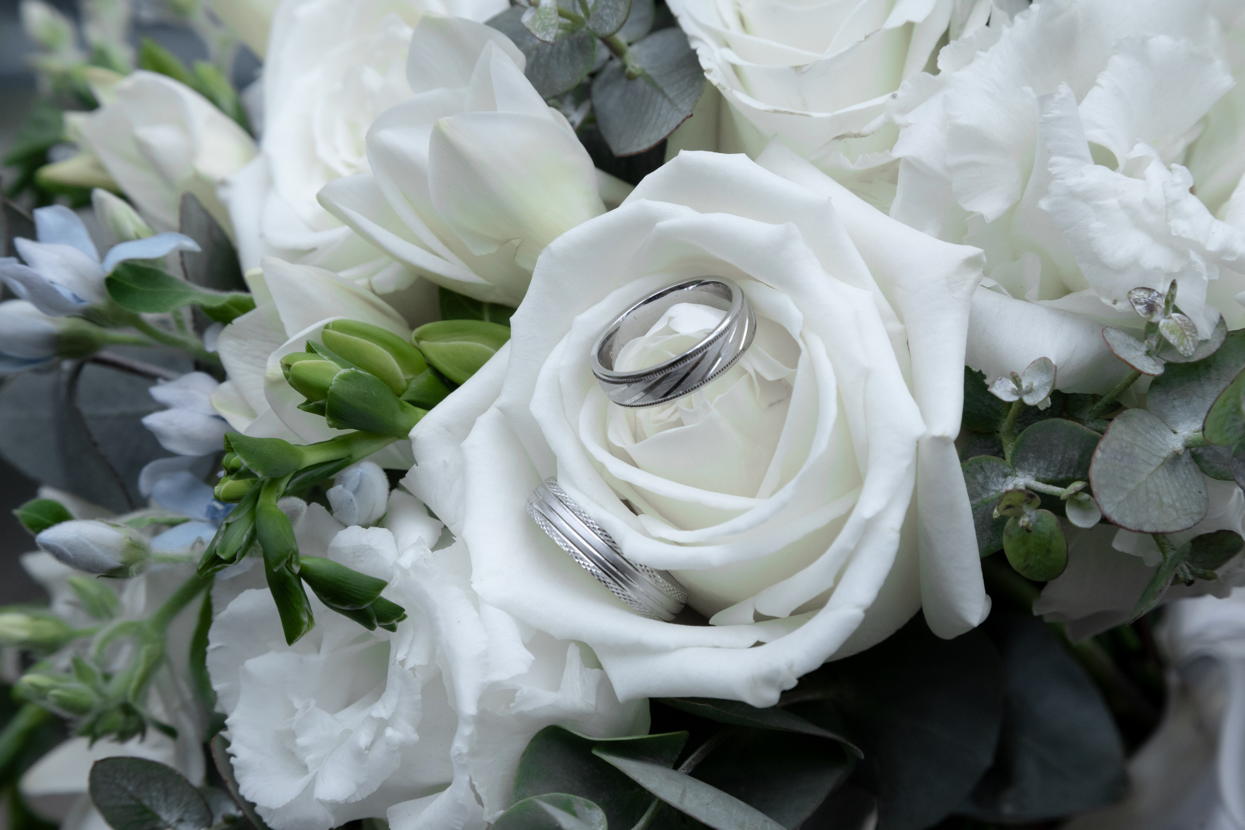 Никита и Рита. Фотограф в Самаре / Олеся Широнина