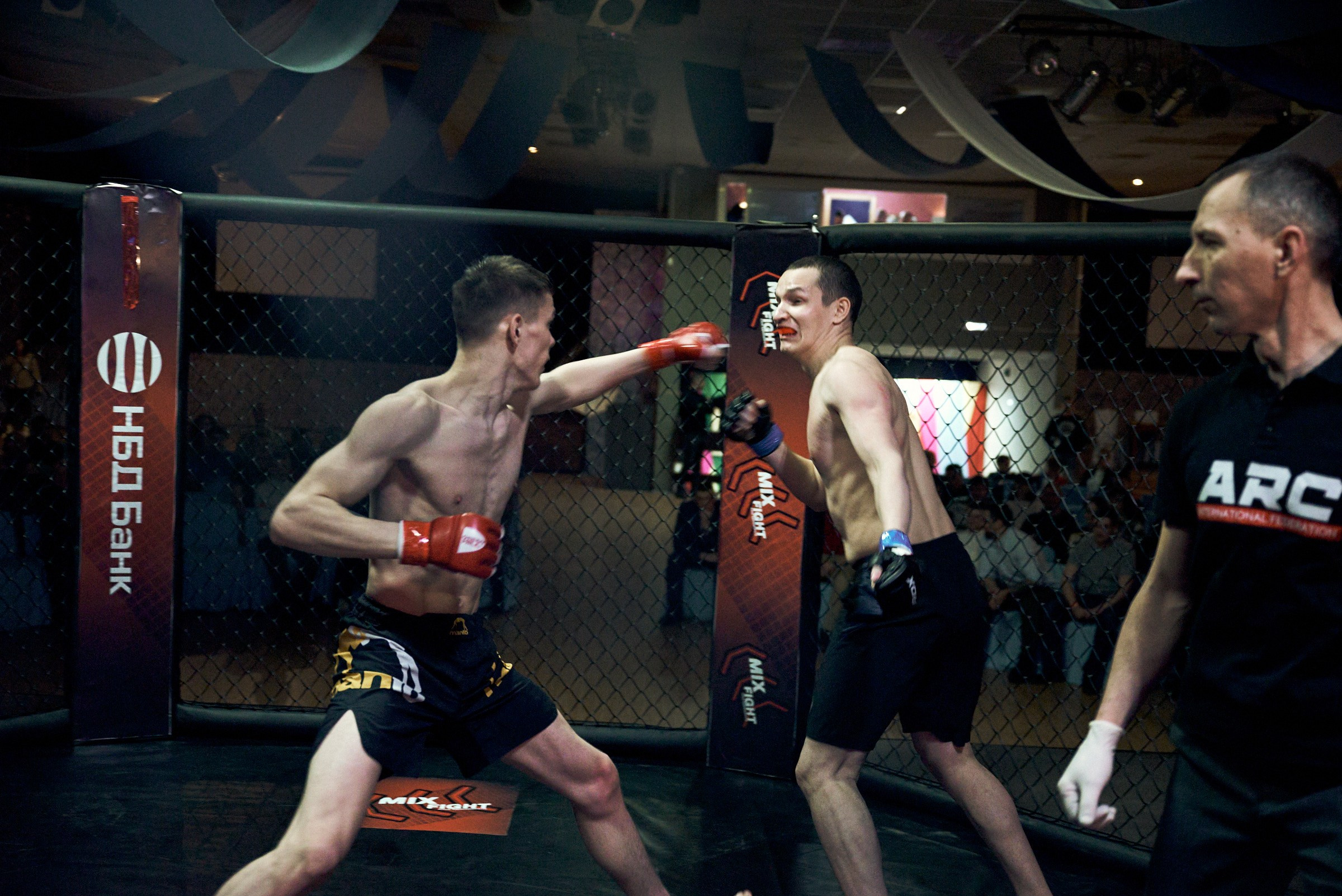 Бои. Маляревич Дмитрий свадебный фотограф