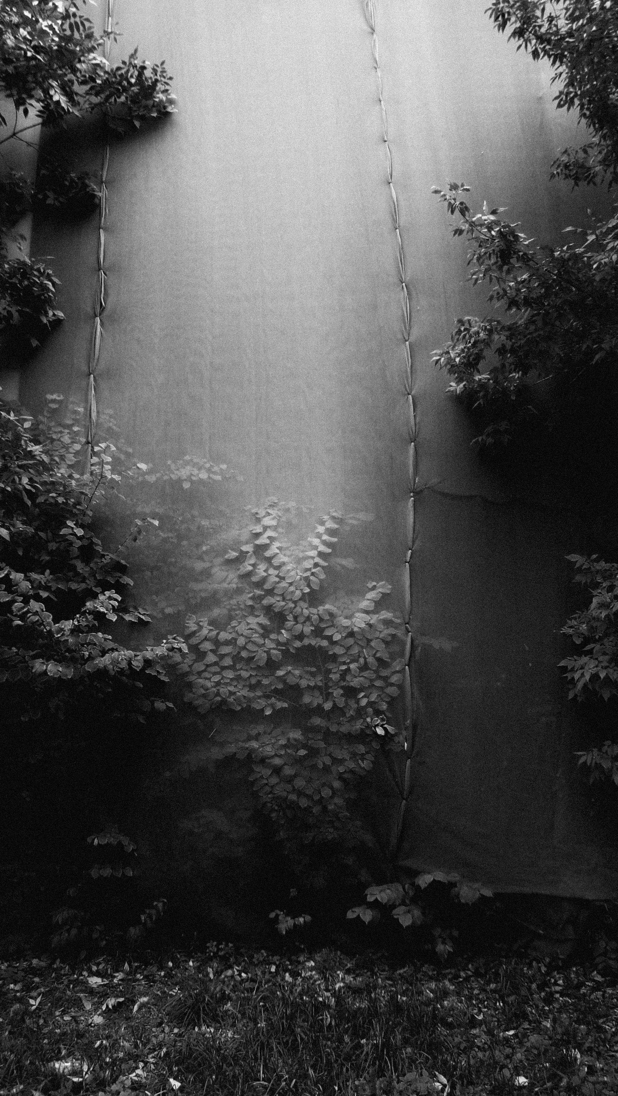 Портреты. Фотограф Анна Кирнос