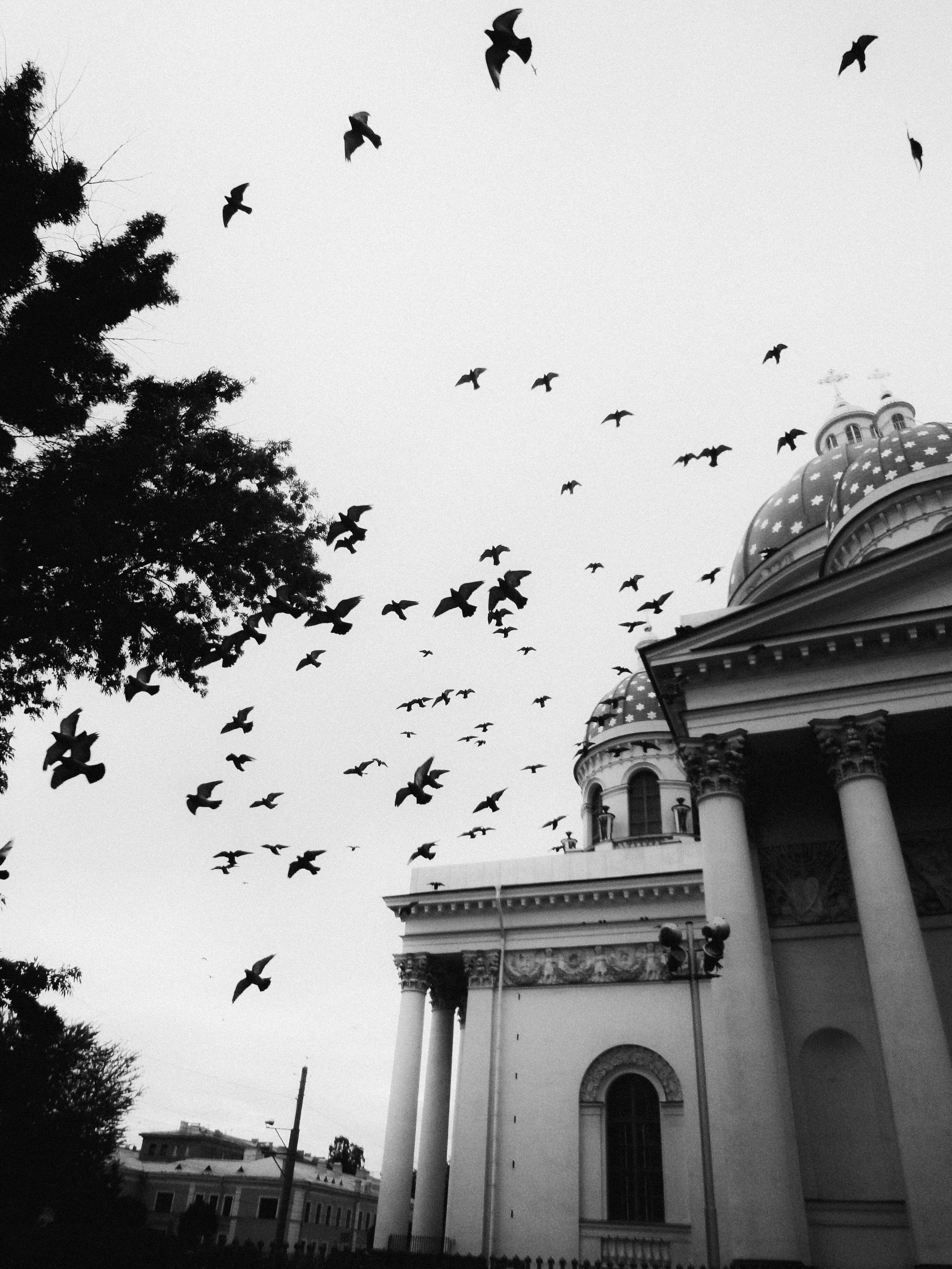 Портреты. Фотограф Анна Кирнос