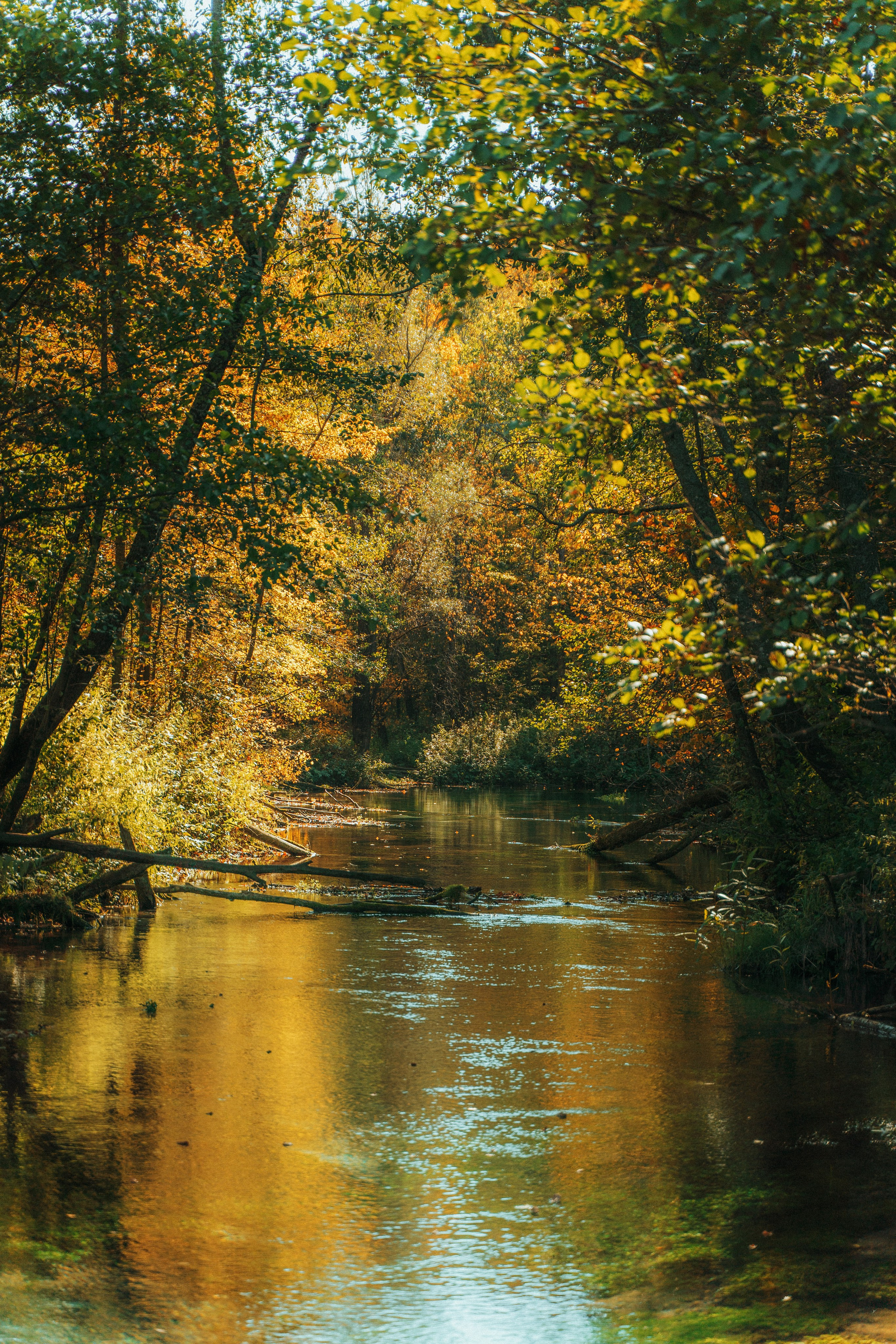 Good Friends Trip / команда локальных путешествий. Саша Копылов, фотограф в Казани