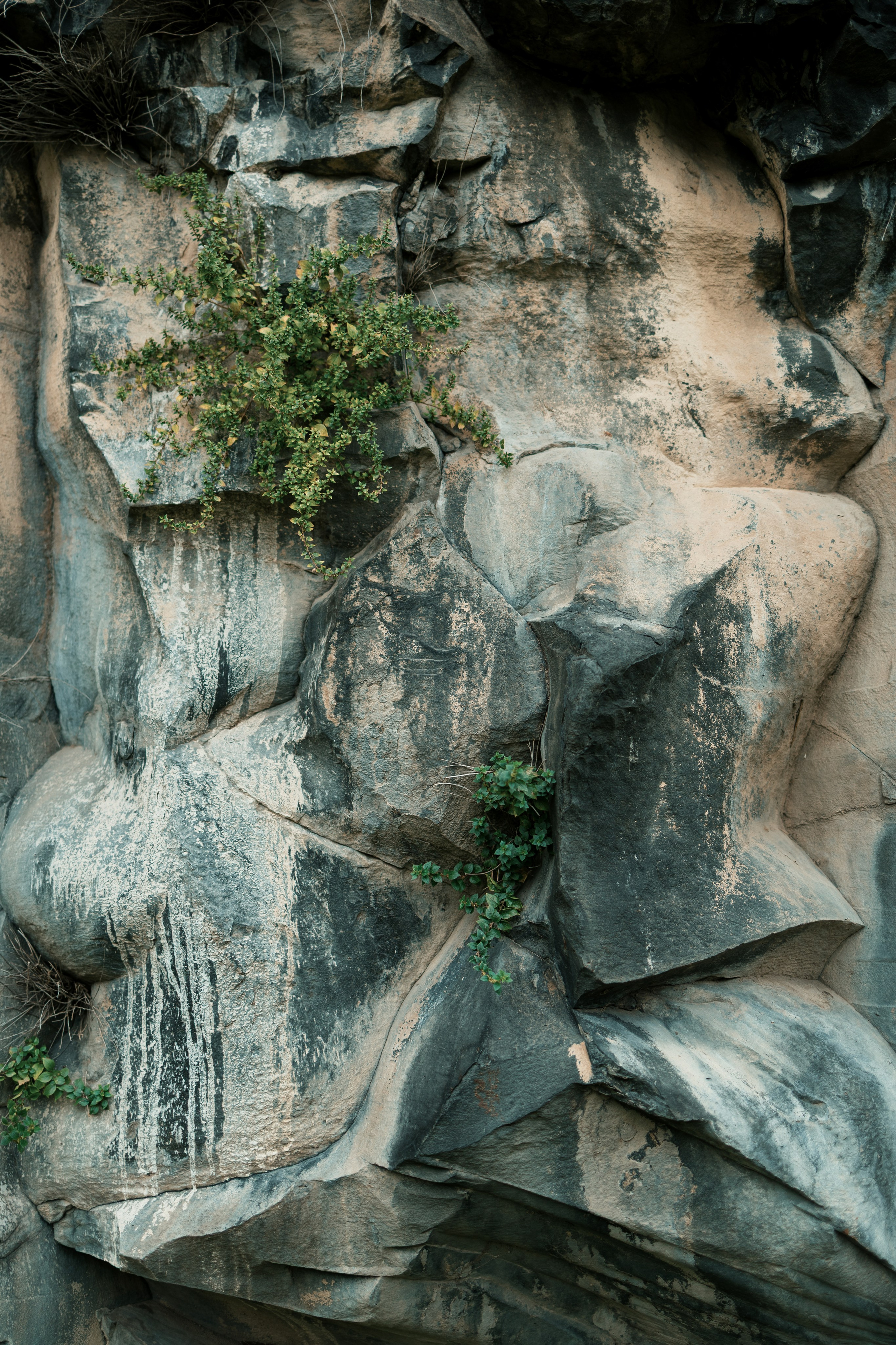 Вохчуйн, это Армения!. Свадебный фотограф. Краснодар, Сочи, Новороссийск. Вадим Мерье