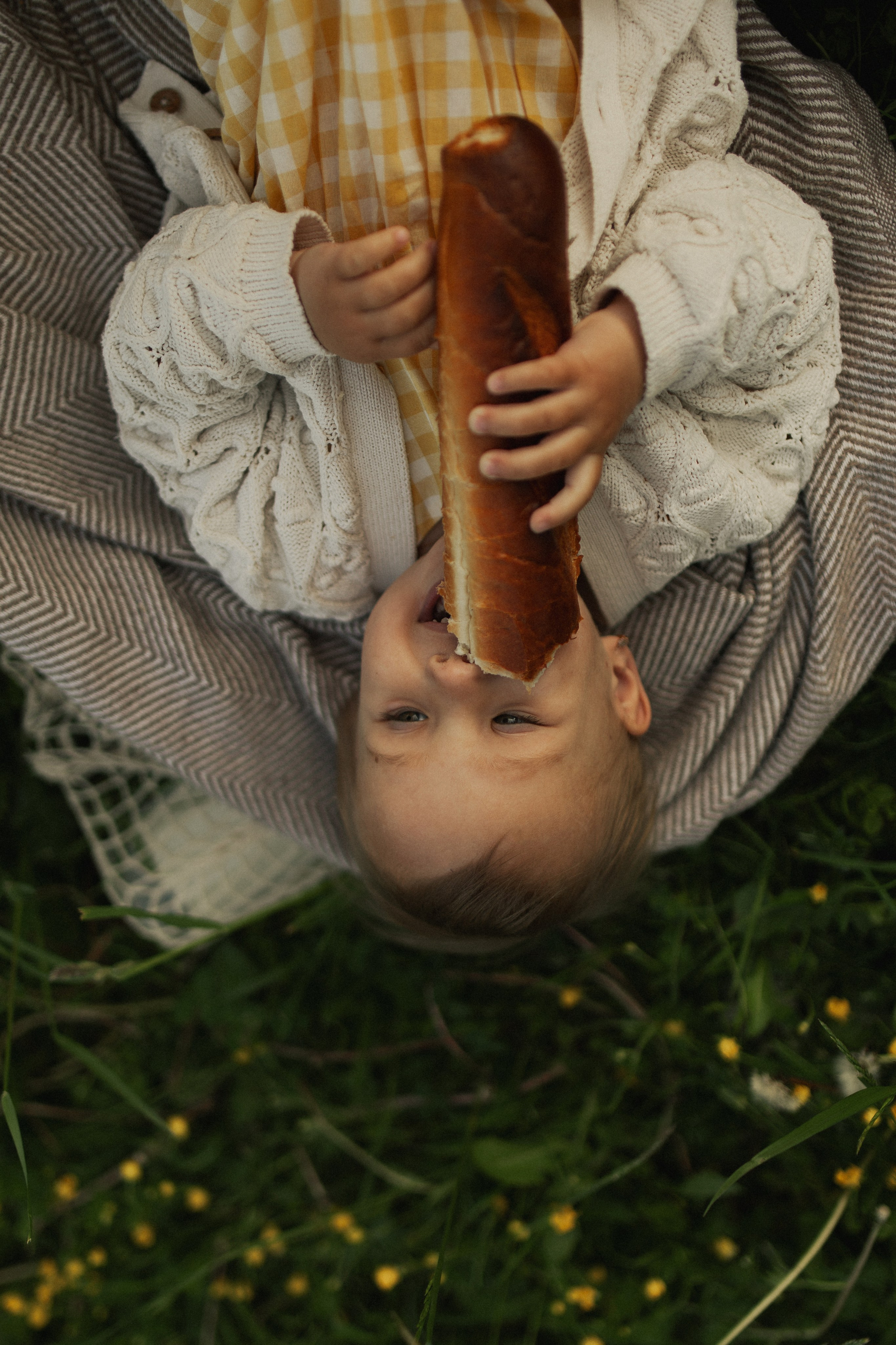 Лола и Софи. Главная