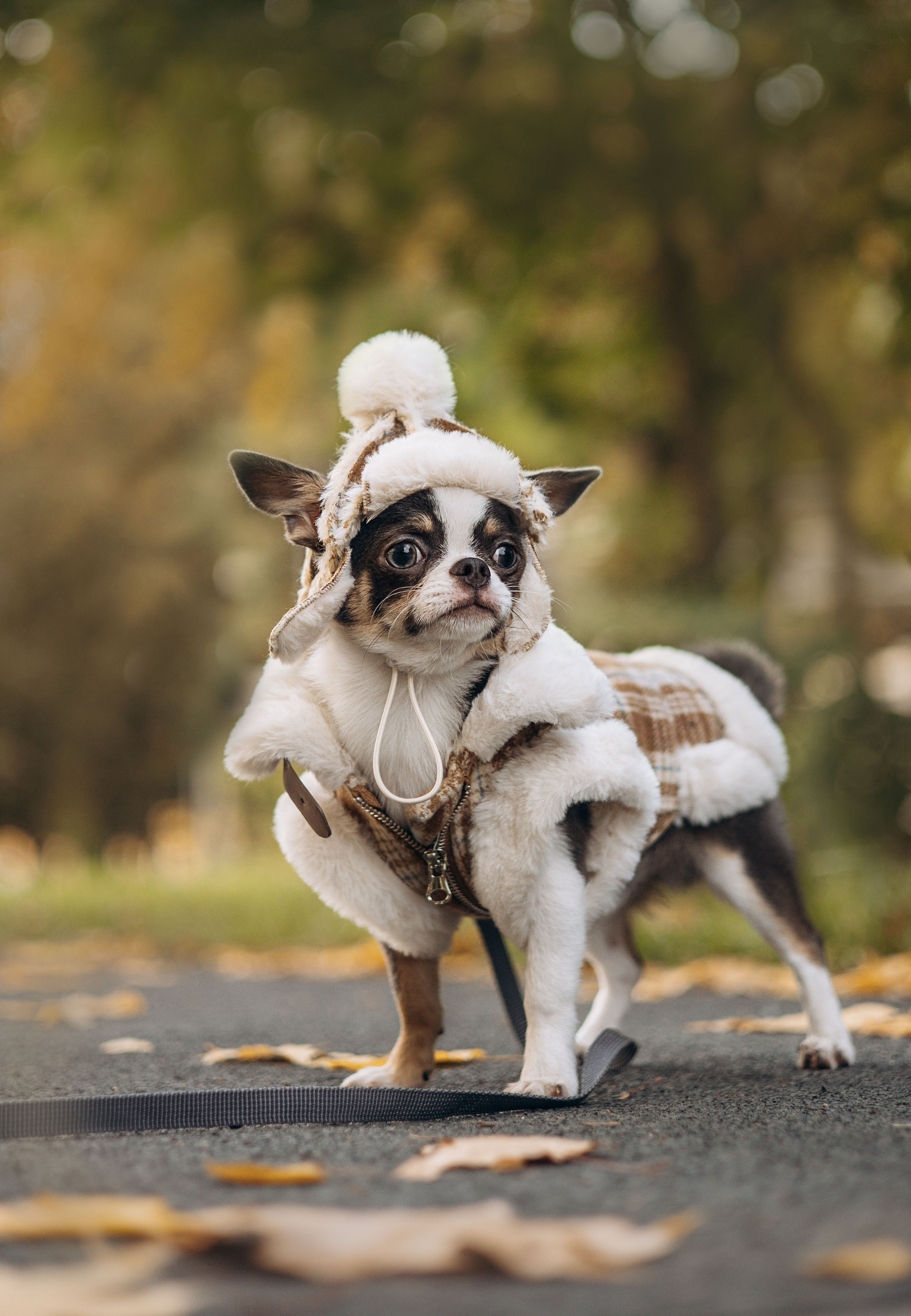 Лера и Пряня. Фотограф животных Евгения Верцинская
