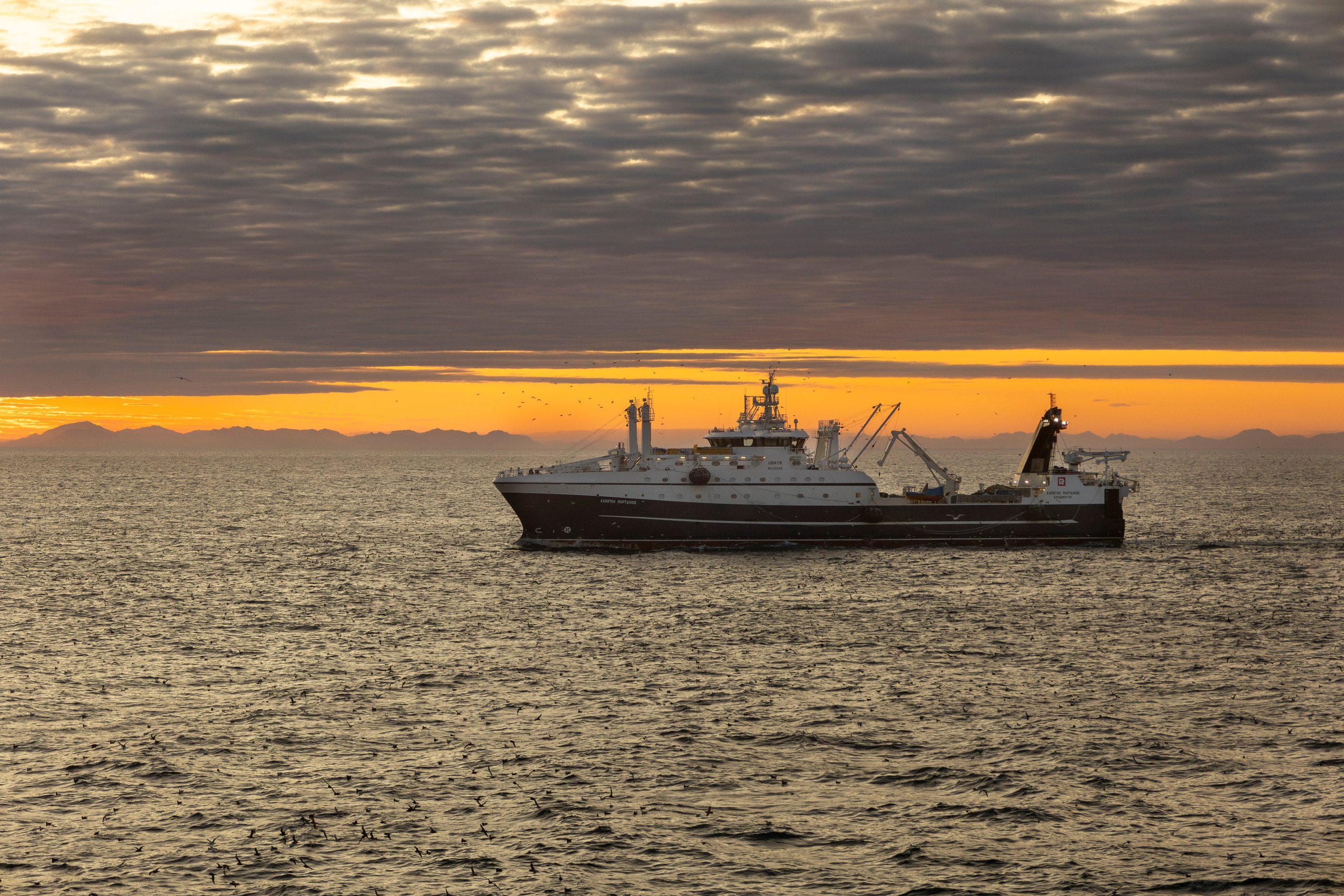 Когда я в море. Часть 2. Фотограф г. Владивосток