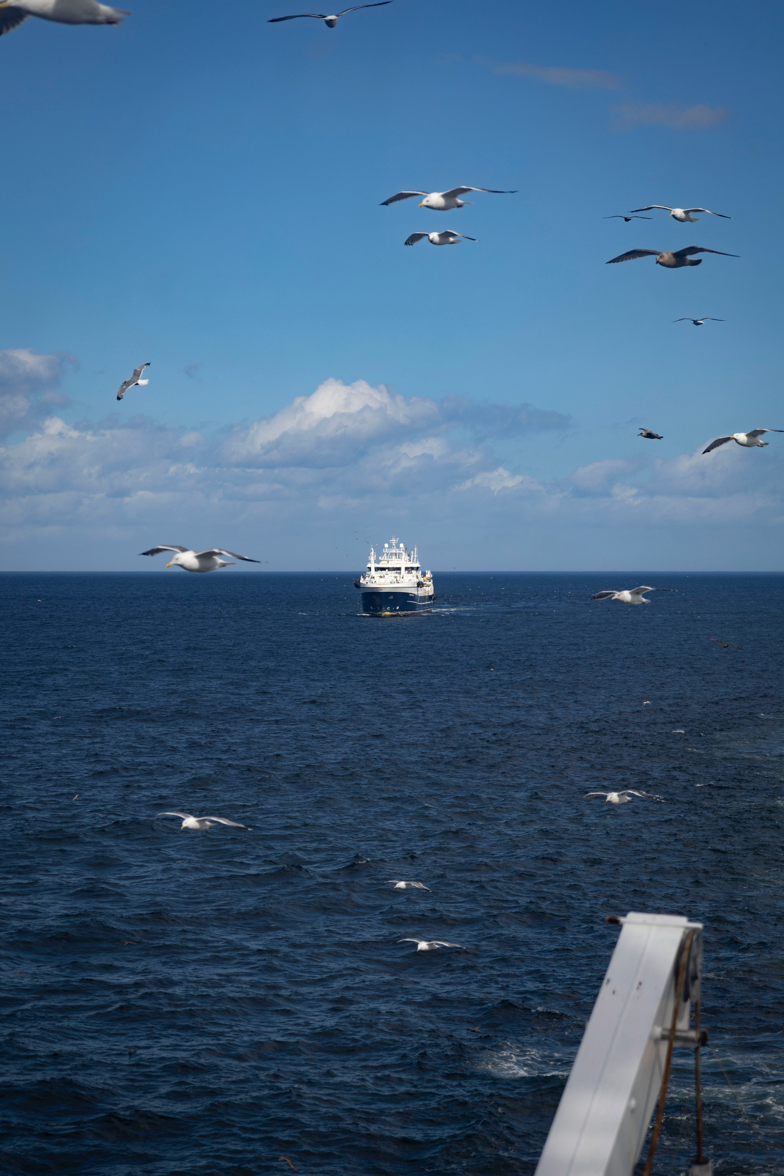 Когда я в море. Часть 2. Фотограф г. Владивосток