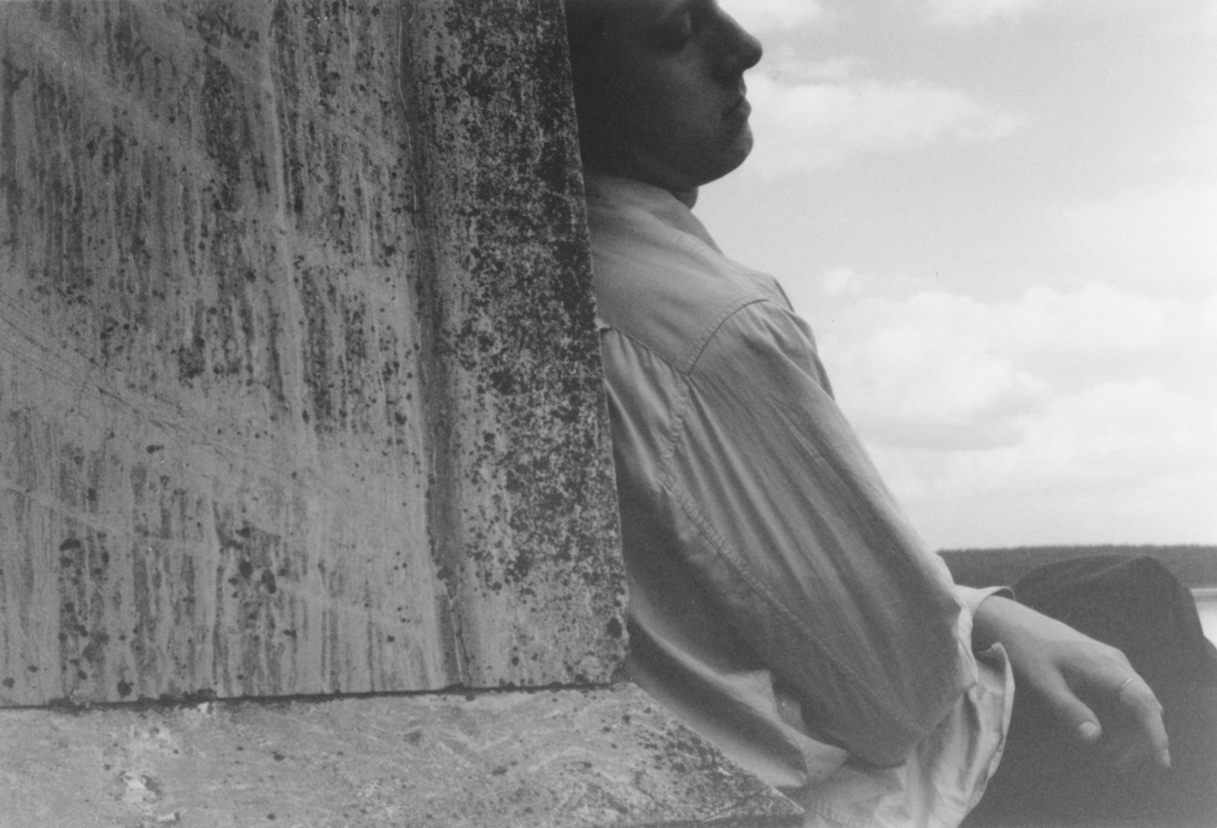 Meanwhile. Елена Цихон художник фотографии и мастер фото-ДНК