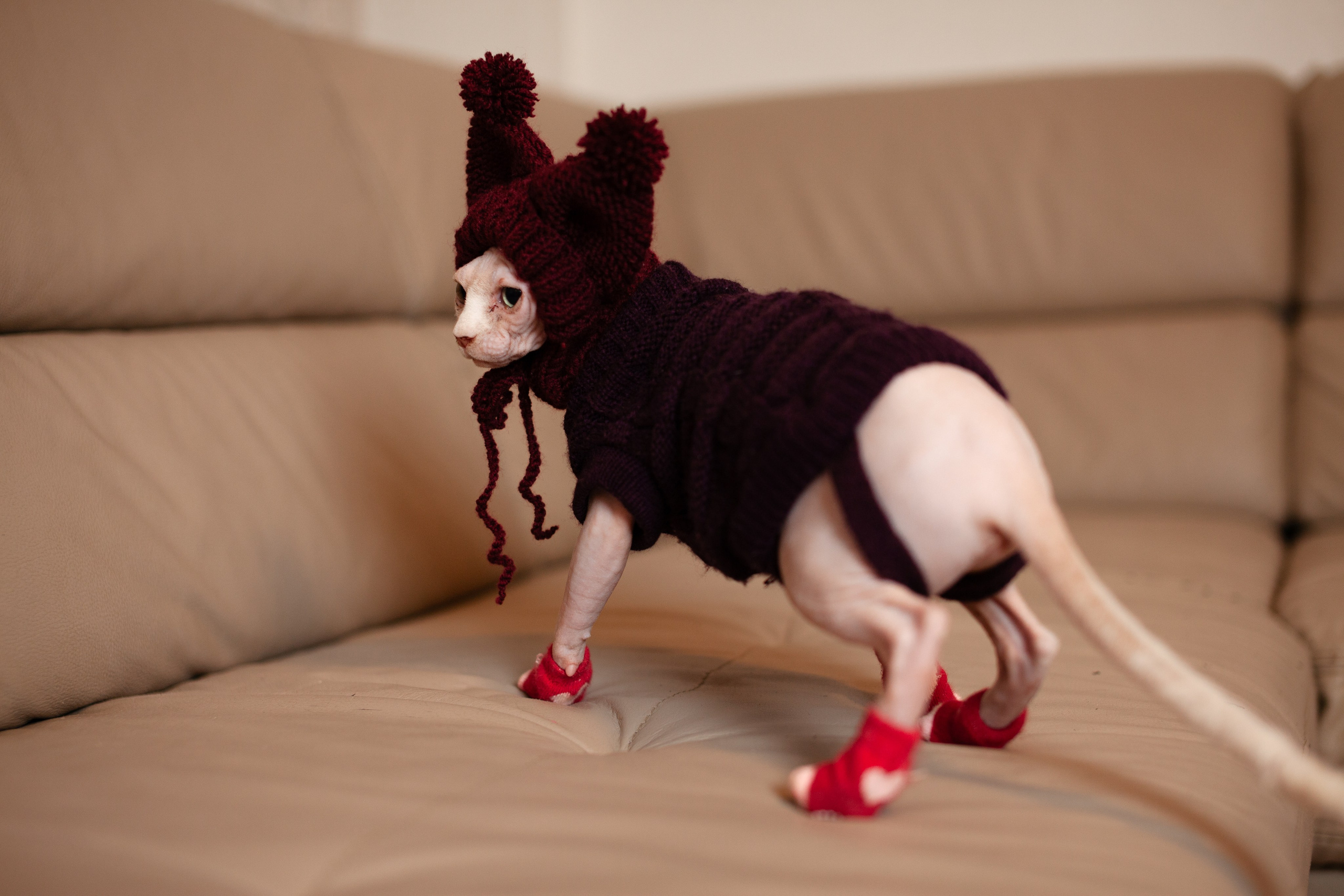 Уют. Фотограф Ростов-на-Дону Свадебный Фотограф в Ростове Ксения Орлова